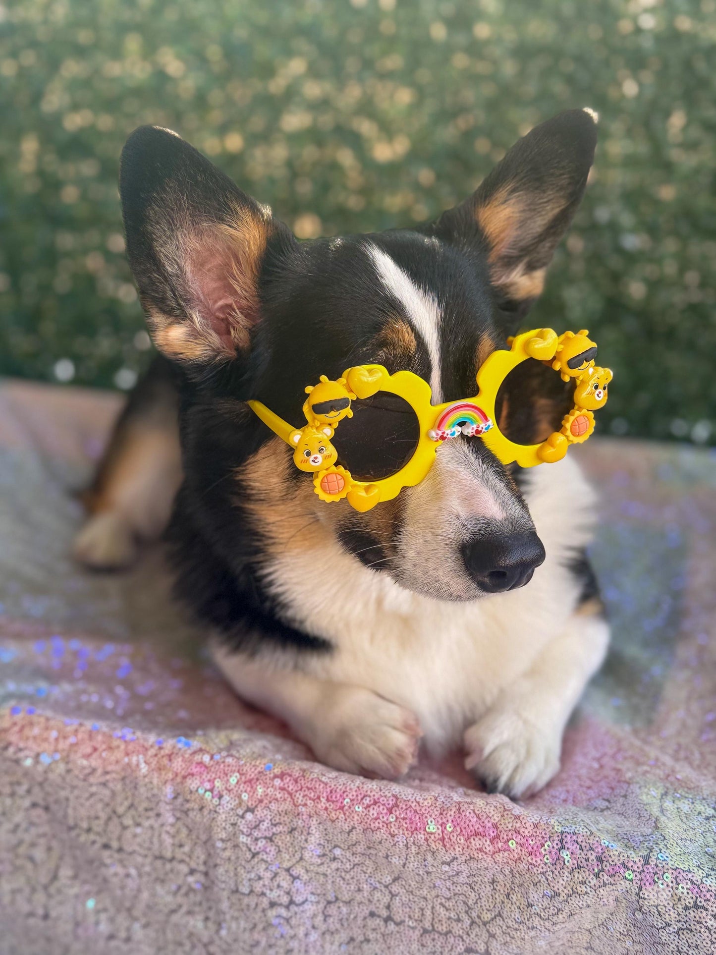 Funshine Bear Sunglasses