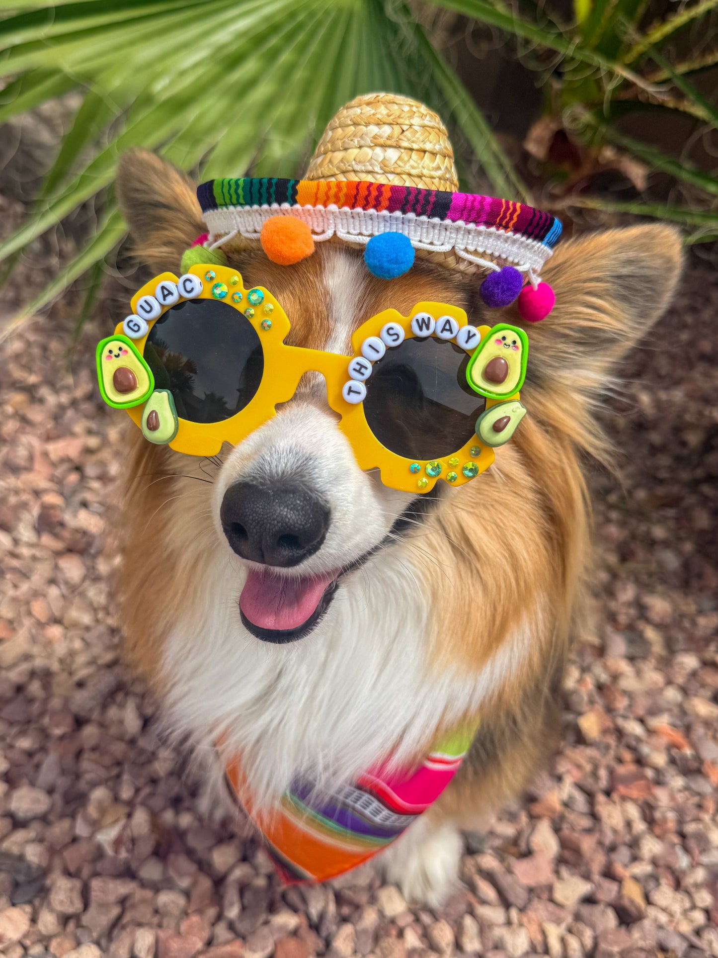 Guac This Way Sunglasses