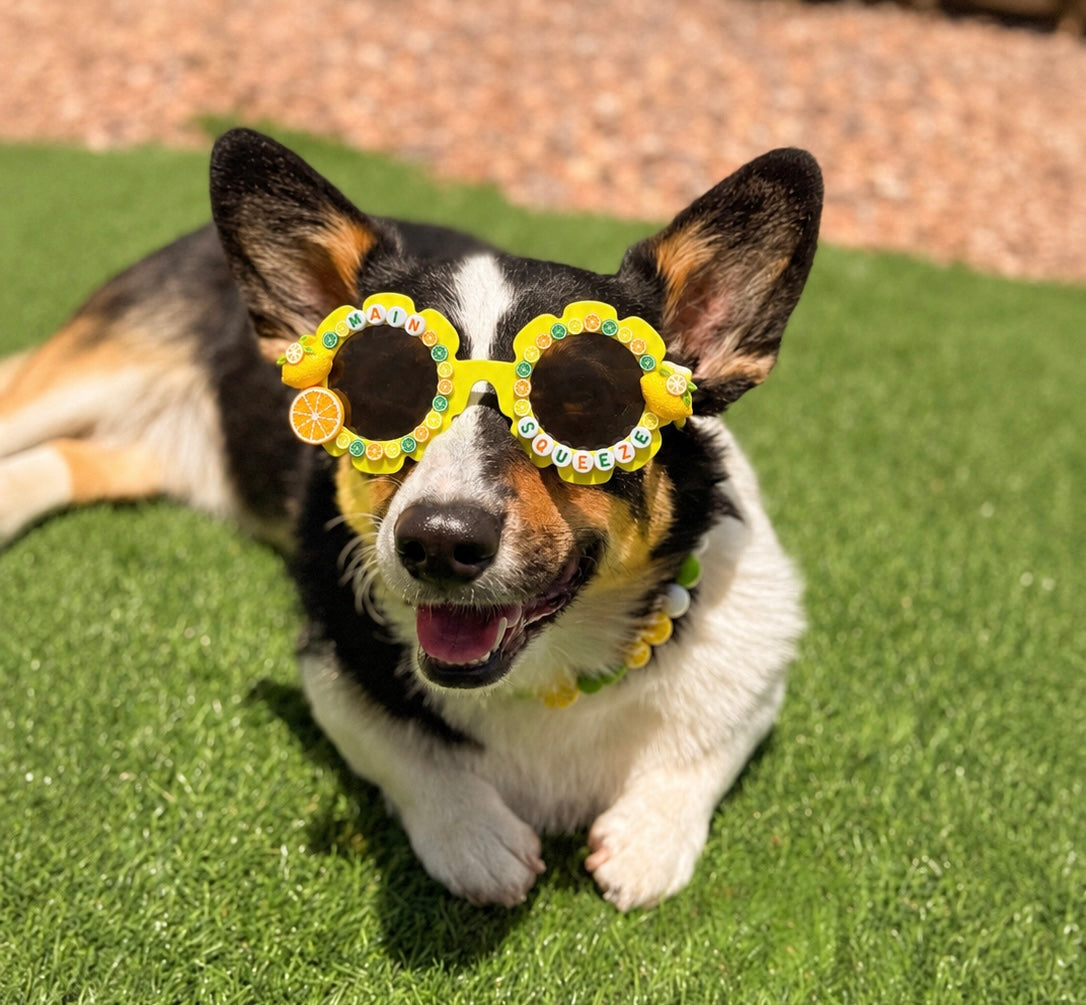 Main Squeeze Sunglasses