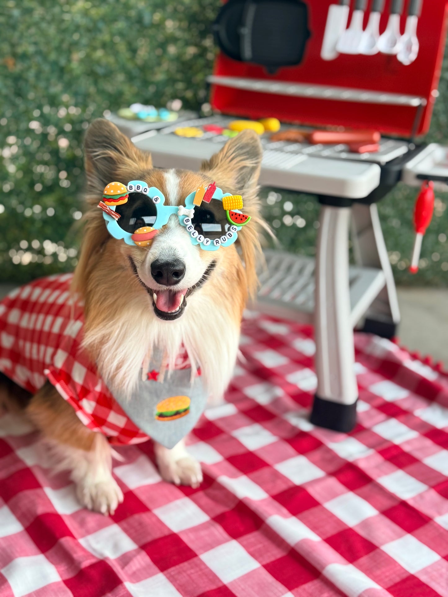 BBQ Dog Sunglasses-2 styles
