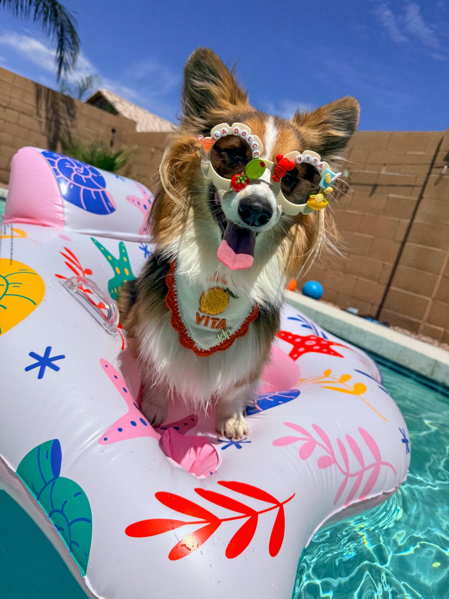 La Dolce Vita Sunglasses