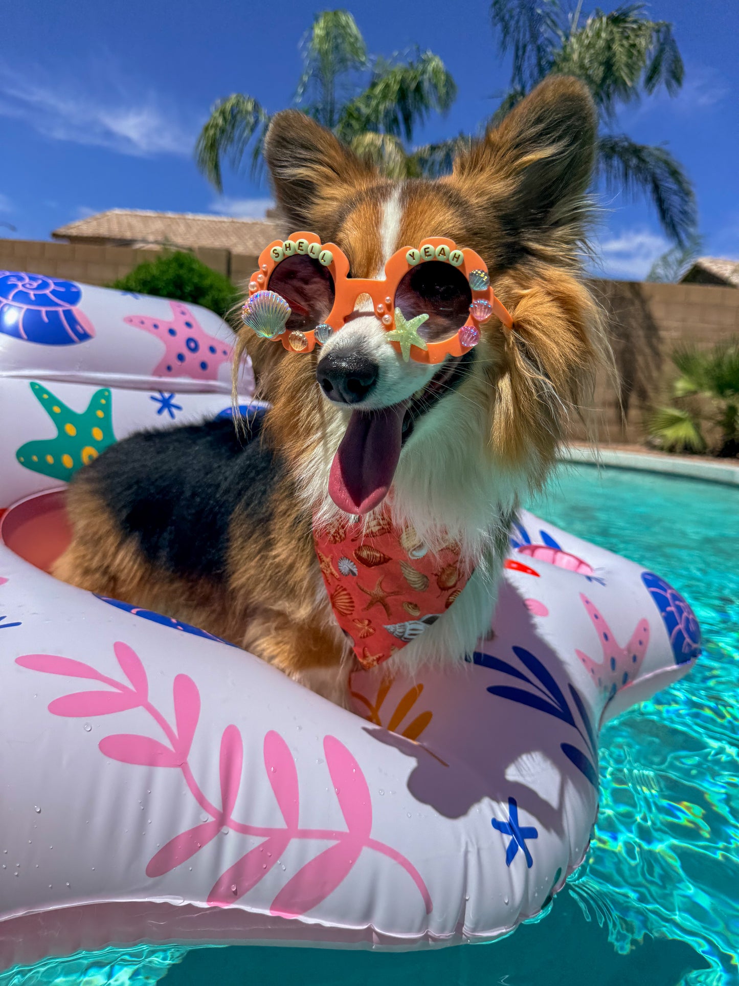 Shell Yeah Sunglasses