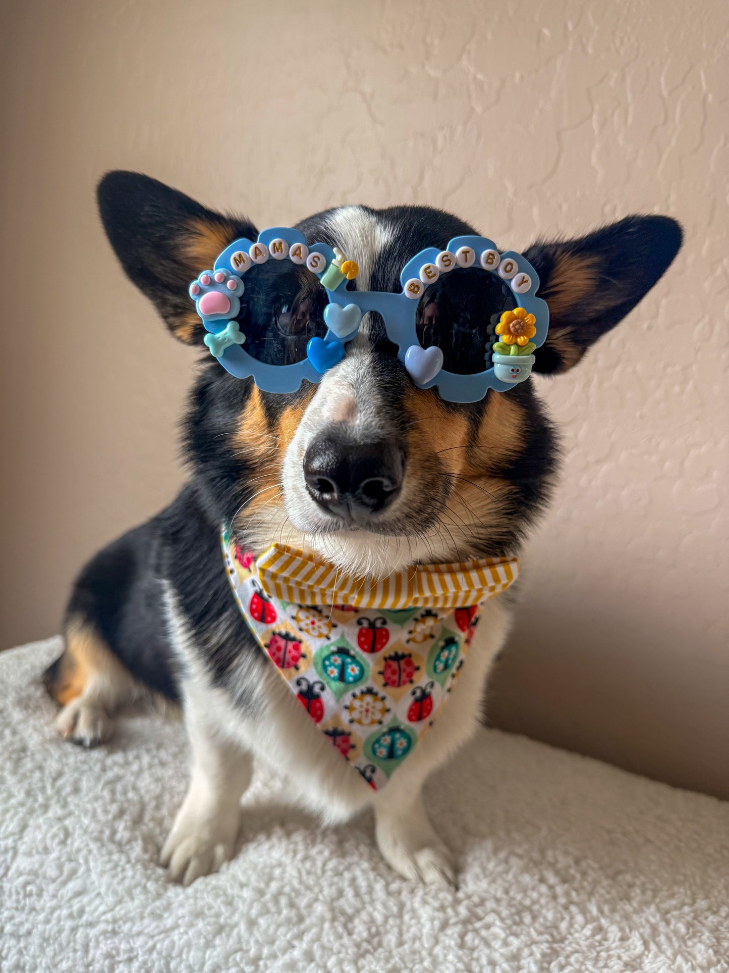 Mama’s Best Boy Sunglasses