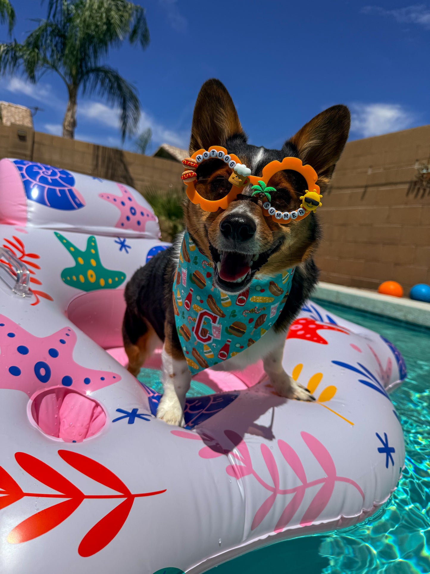 Hotdog Summer Sunglasses