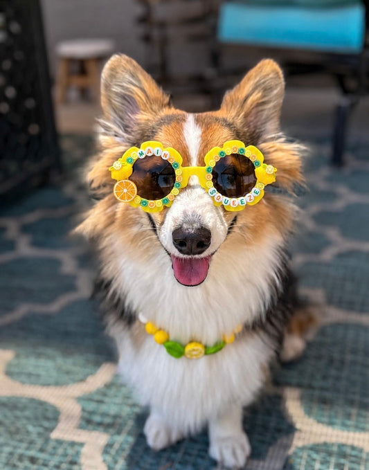Main Squeeze Sunglasses