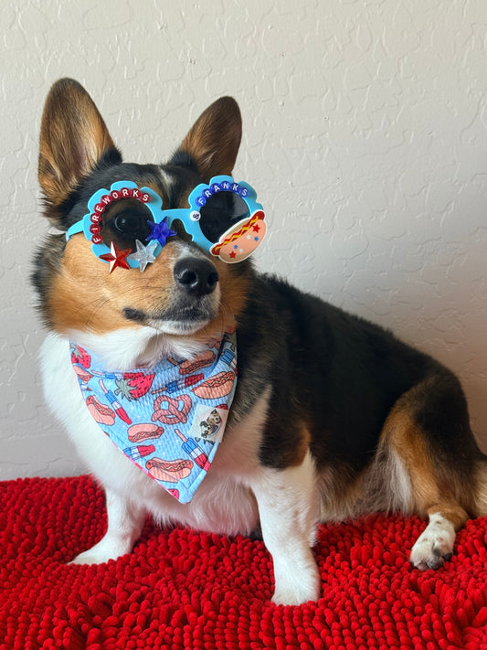 Fireworks & Franks Sunglasses