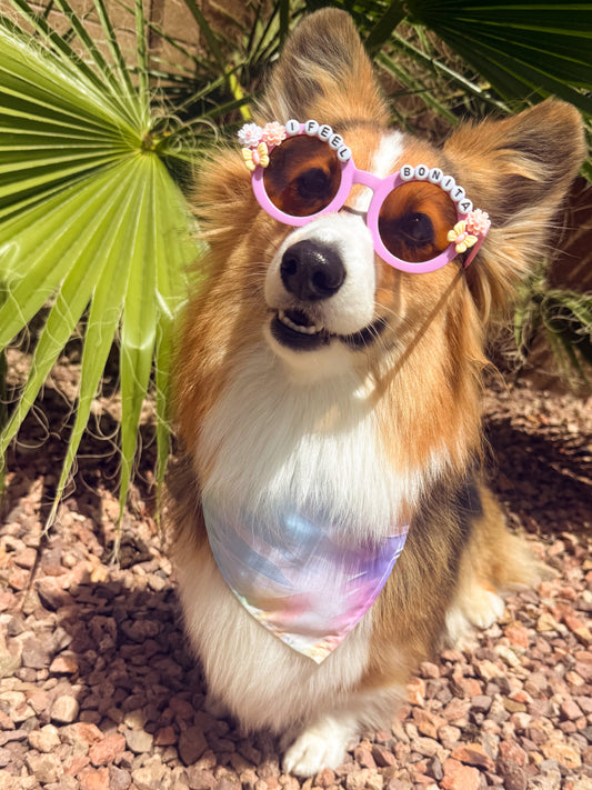 I Feel Bonita sunglasses