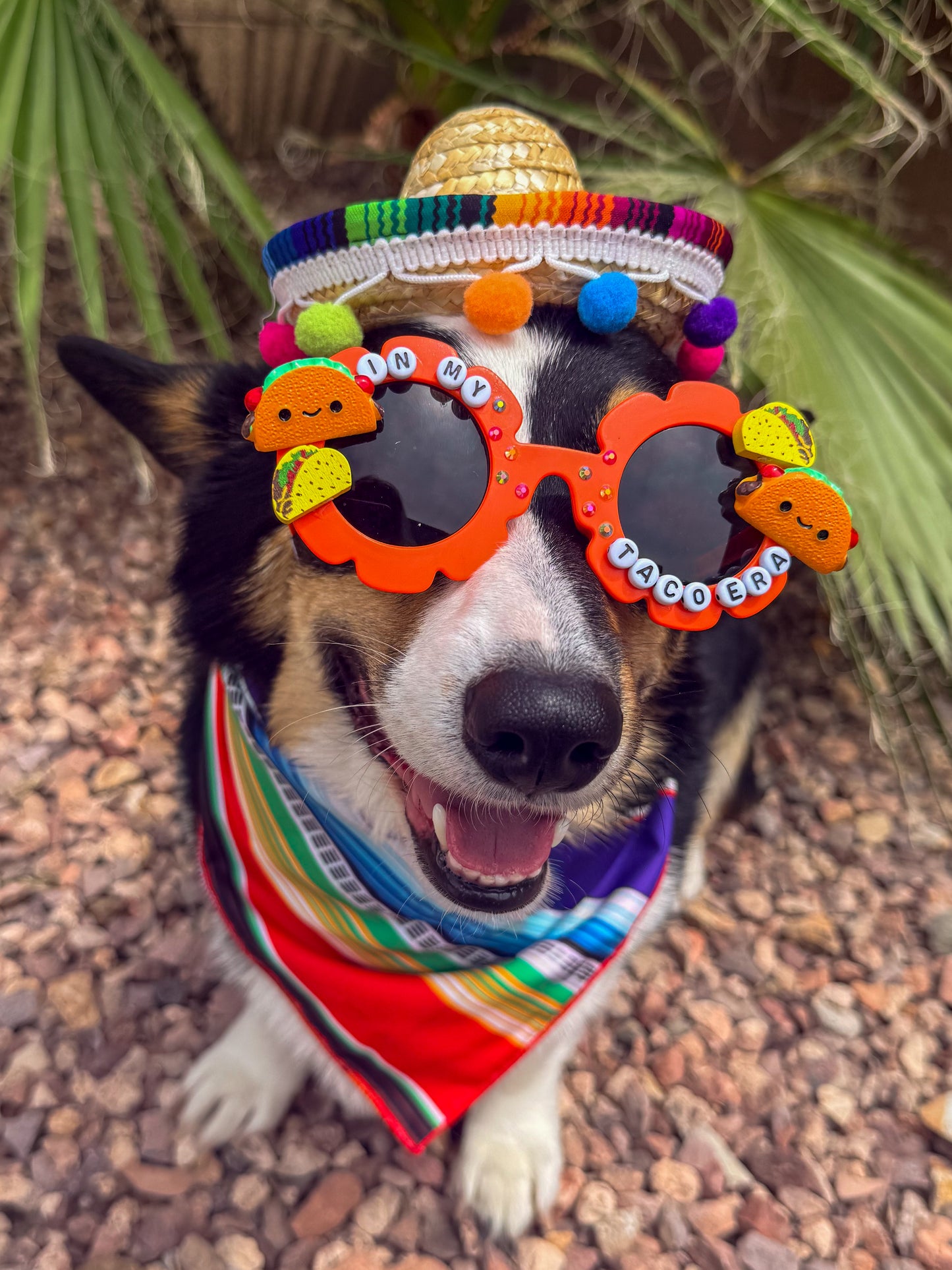 In My Taco Era Sunglasses