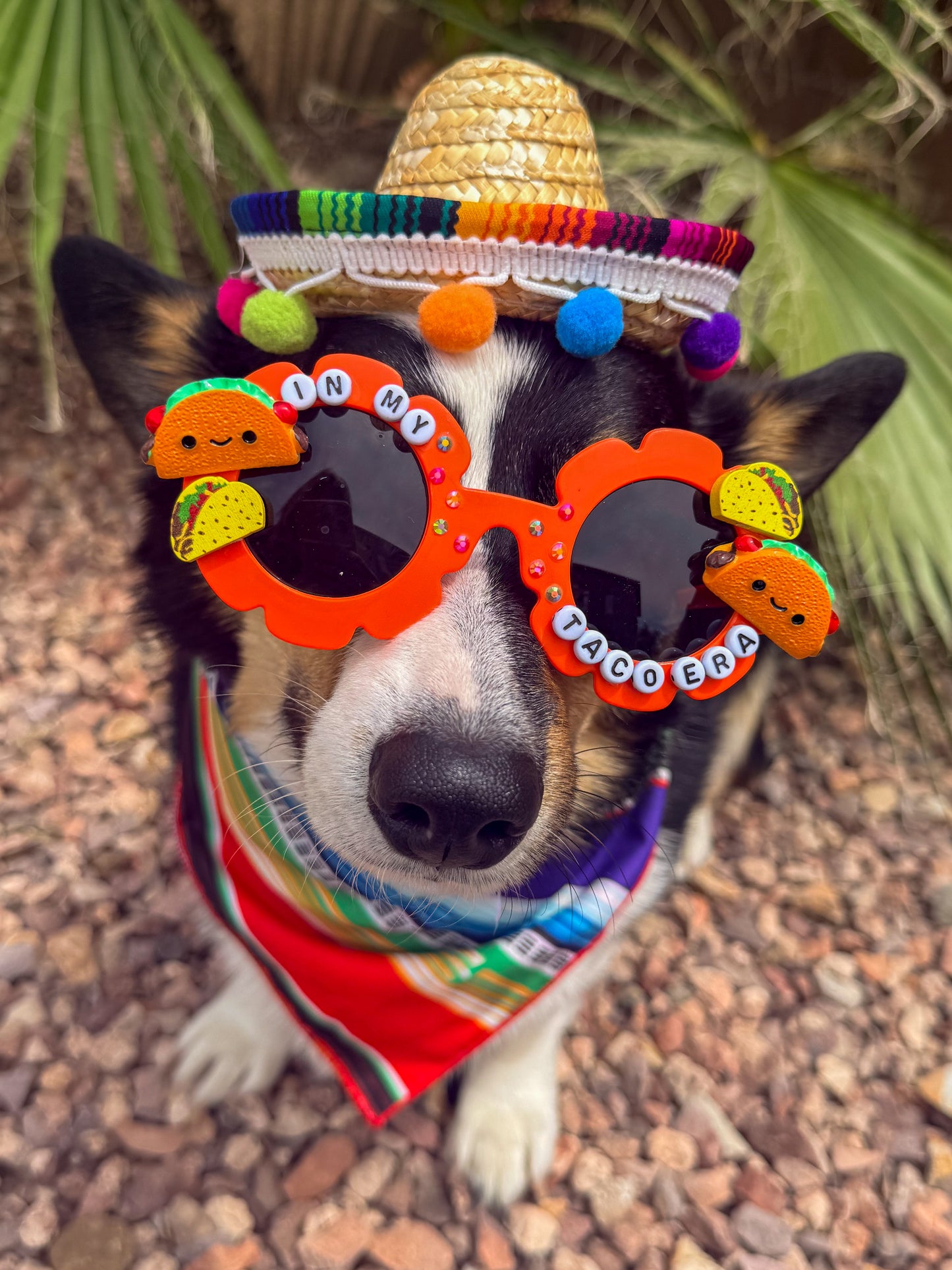 In My Taco Era Sunglasses