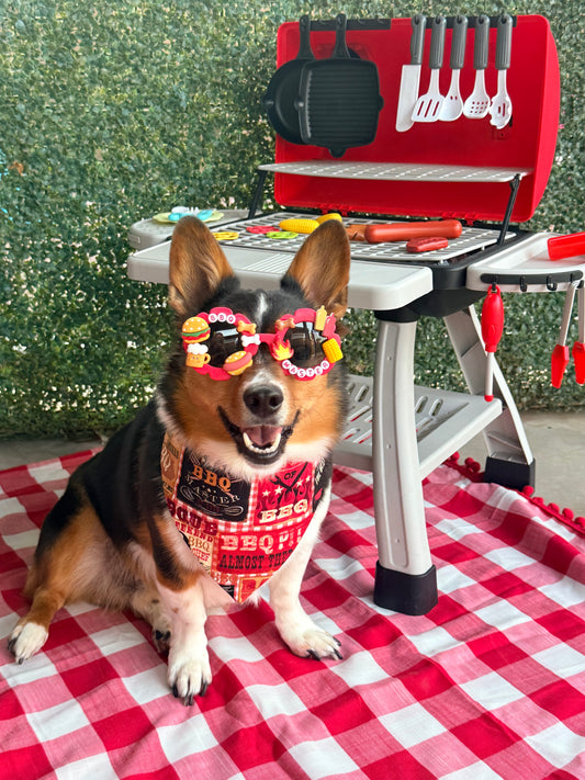 BBQ Dog Sunglasses-2 styles