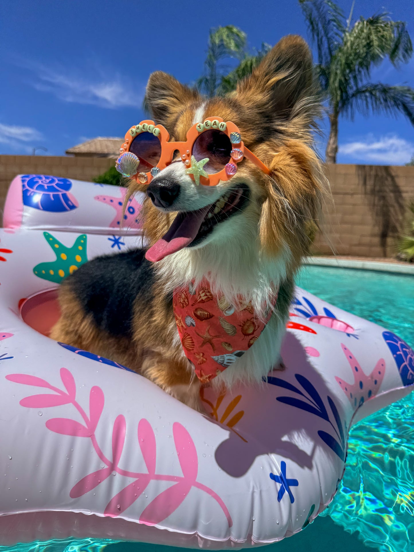 Shell Yeah Sunglasses