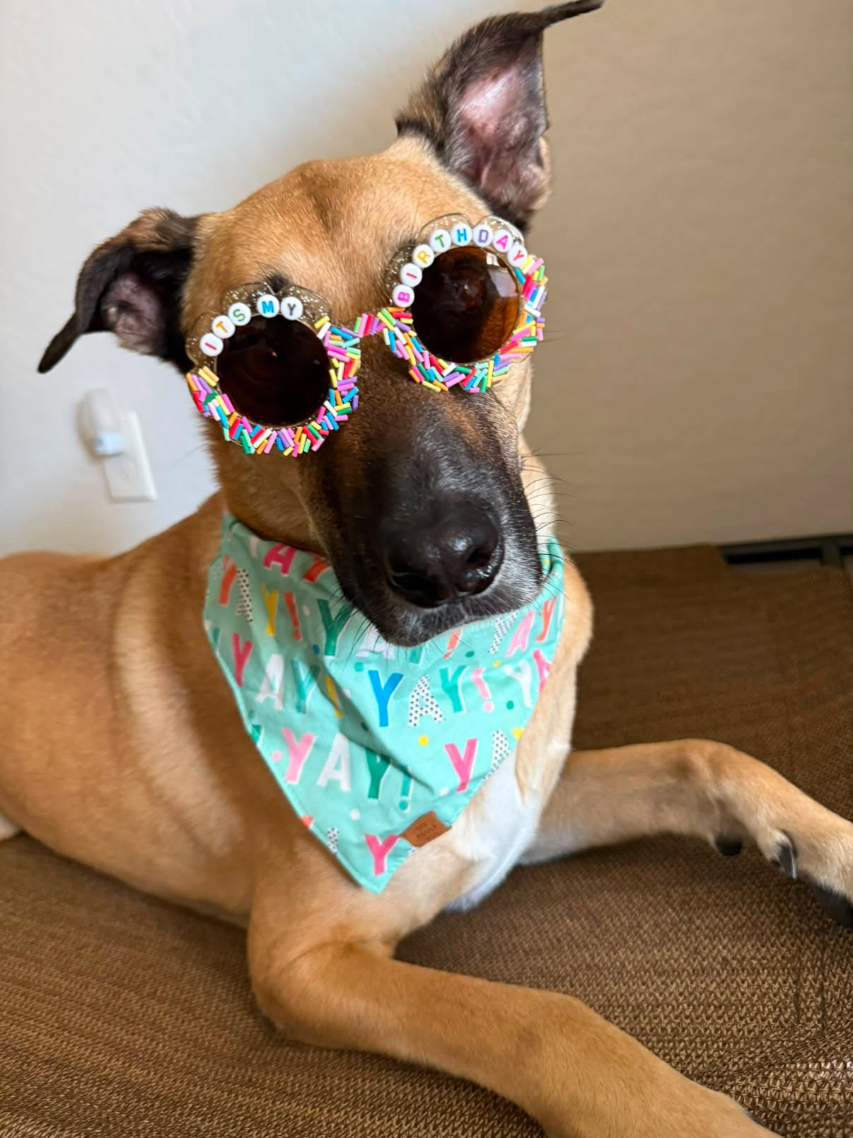 Birthday Sunglasses