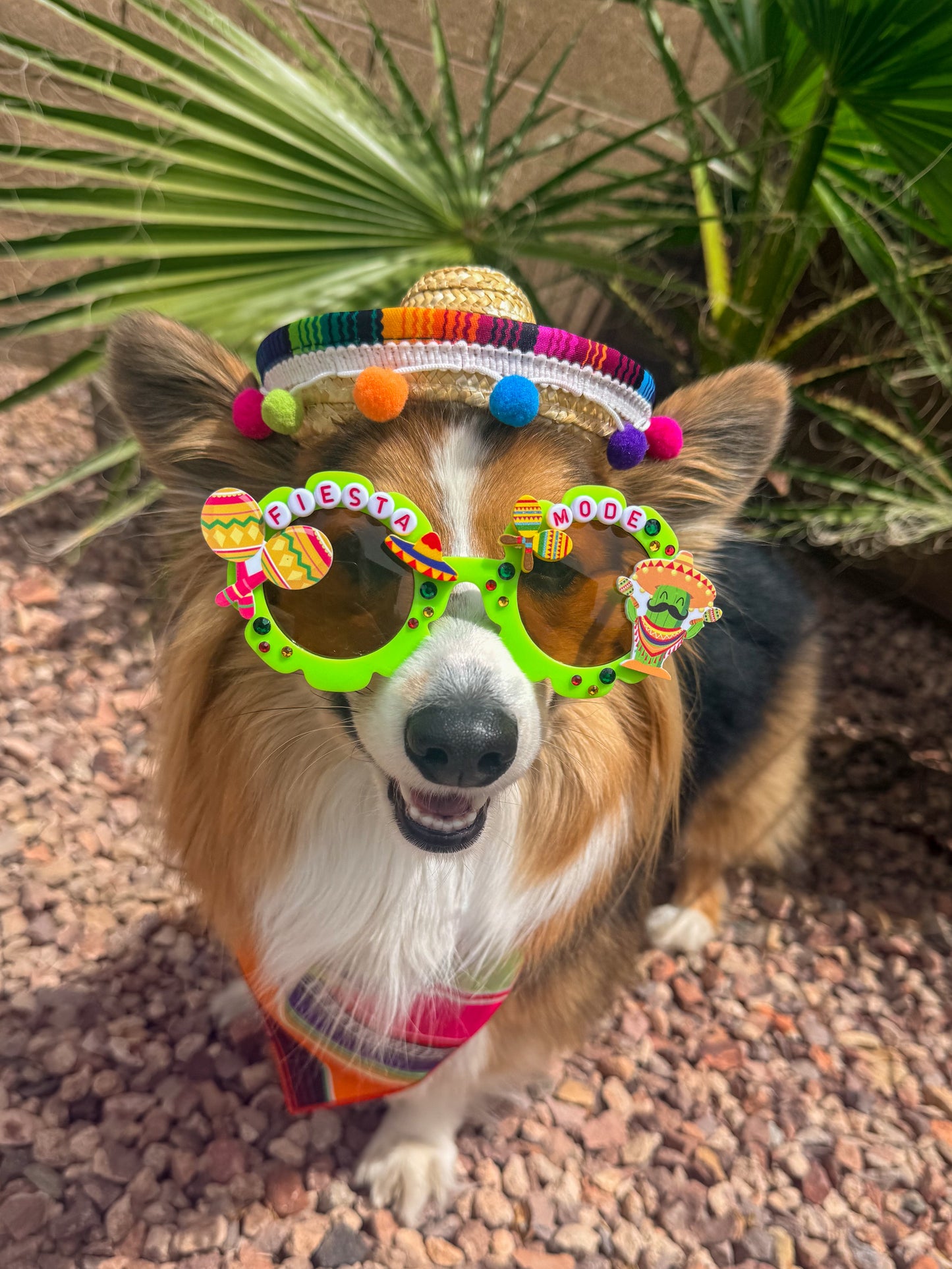 Fiesta Mode Sunglasses