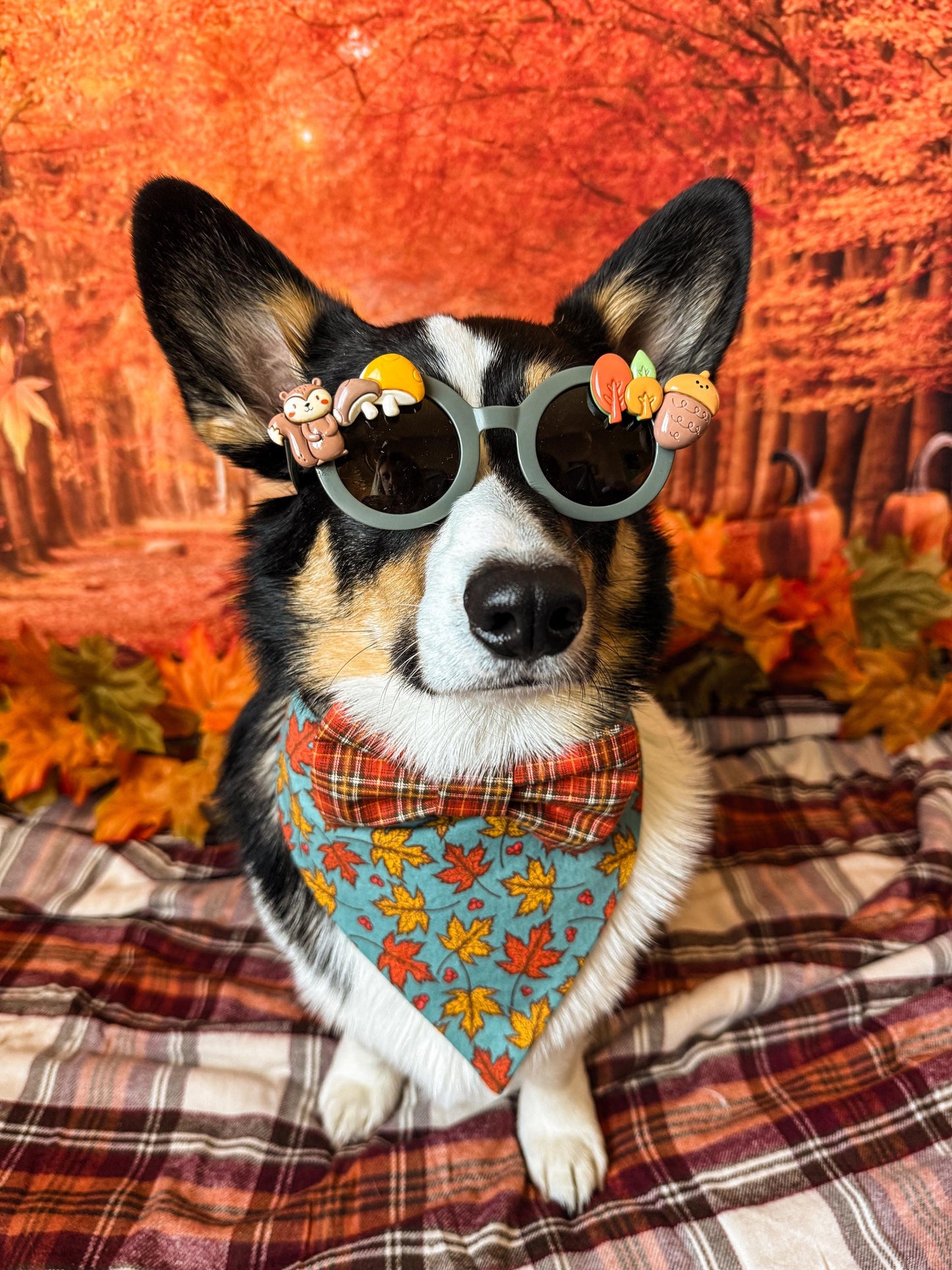 Autumn Critter Sunglasses