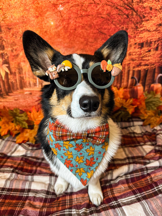 Autumn Critter Sunglasses