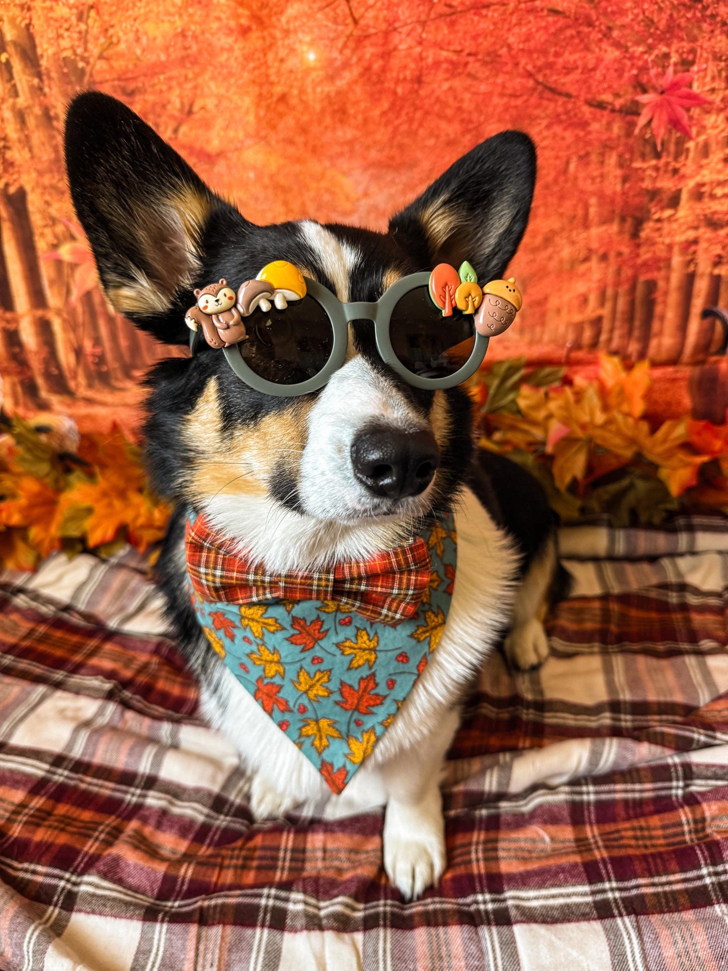Autumn Critter Sunglasses