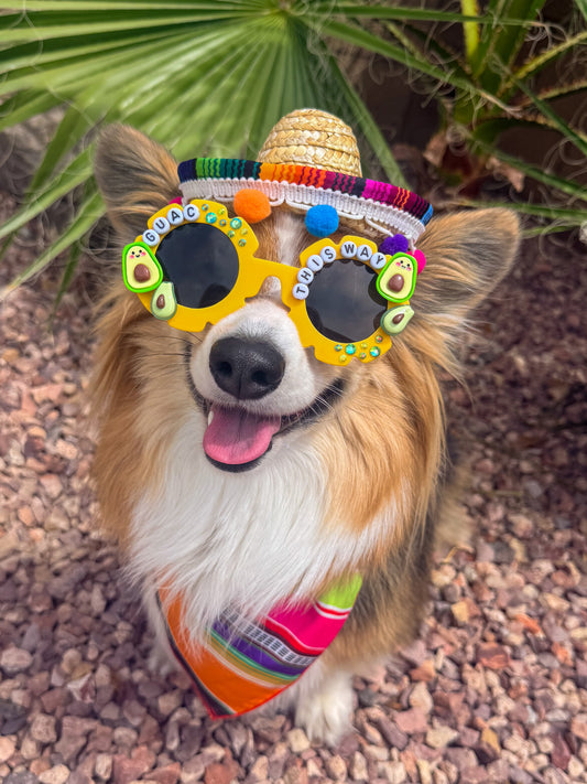 Guac This Way Sunglasses