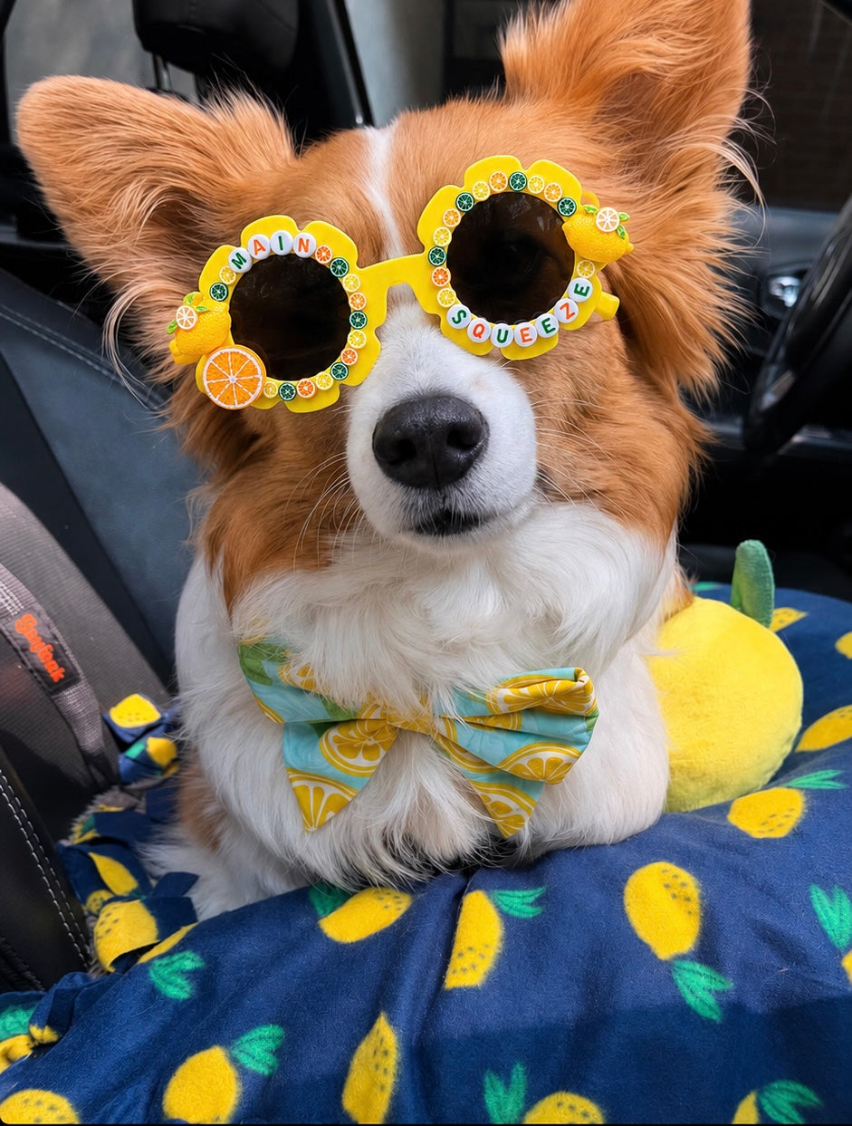 Main Squeeze Sunglasses