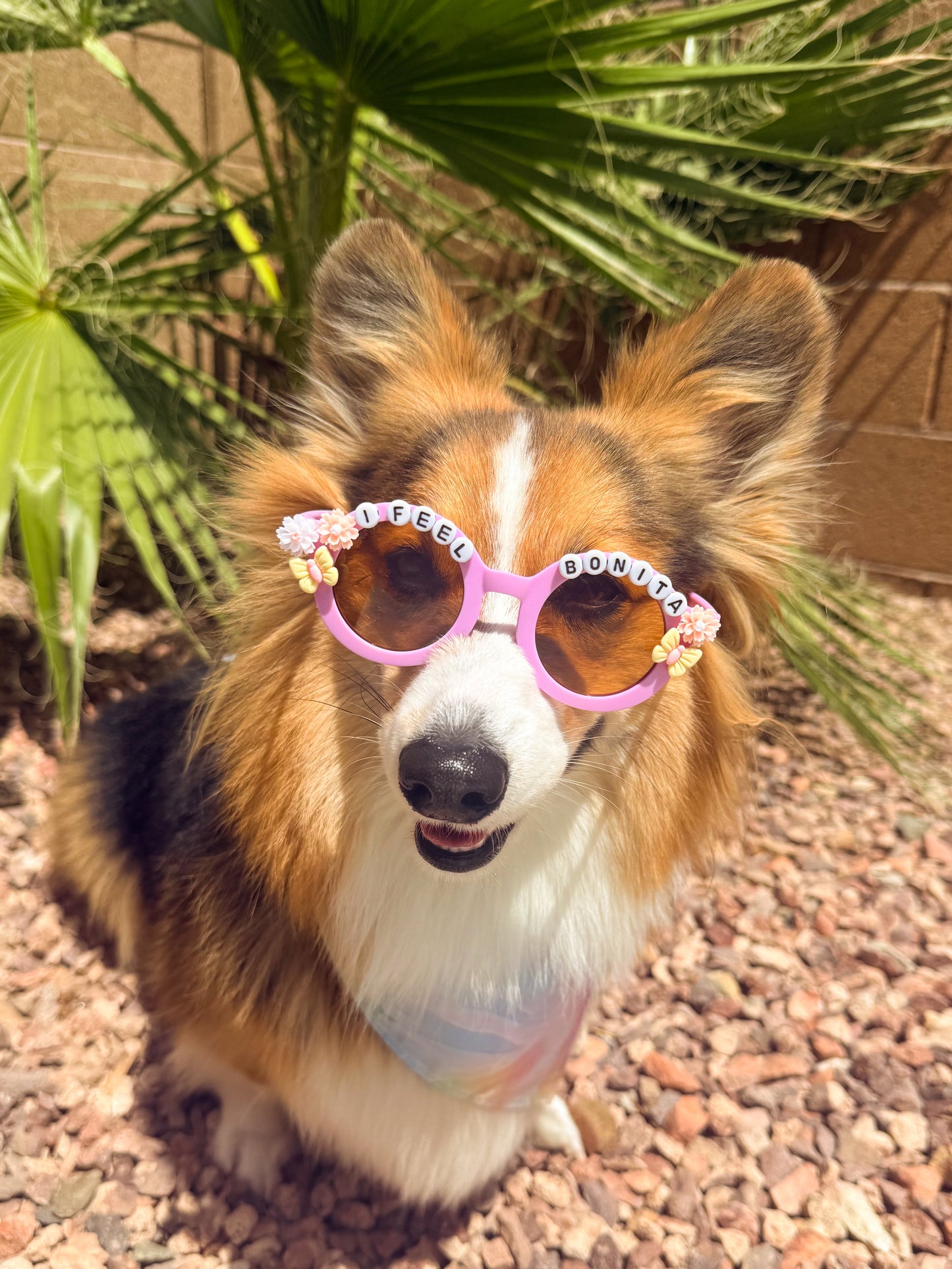 I Feel Bonita sunglasses