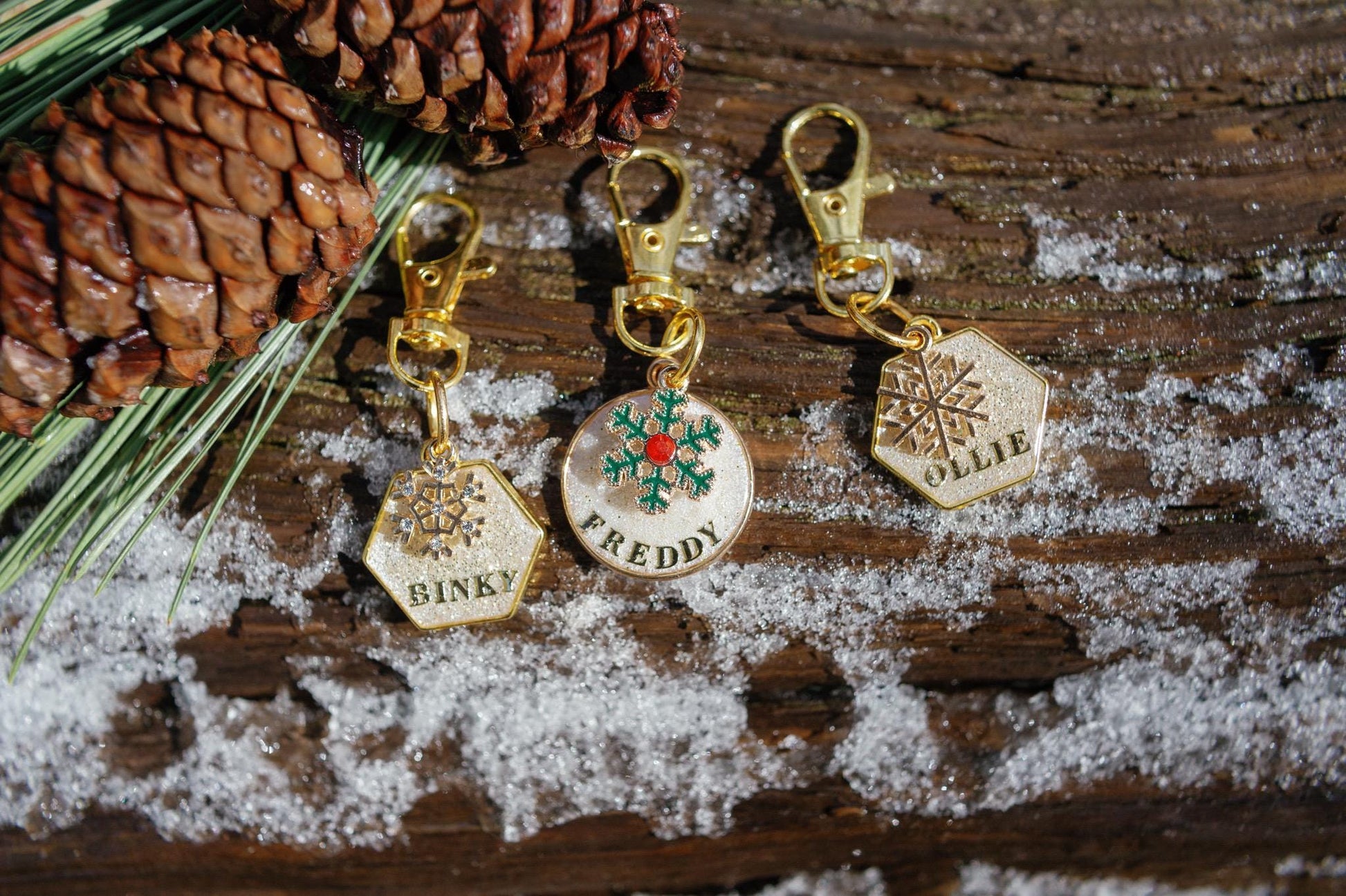 Baby Its Cold Outside- personalized pet tag