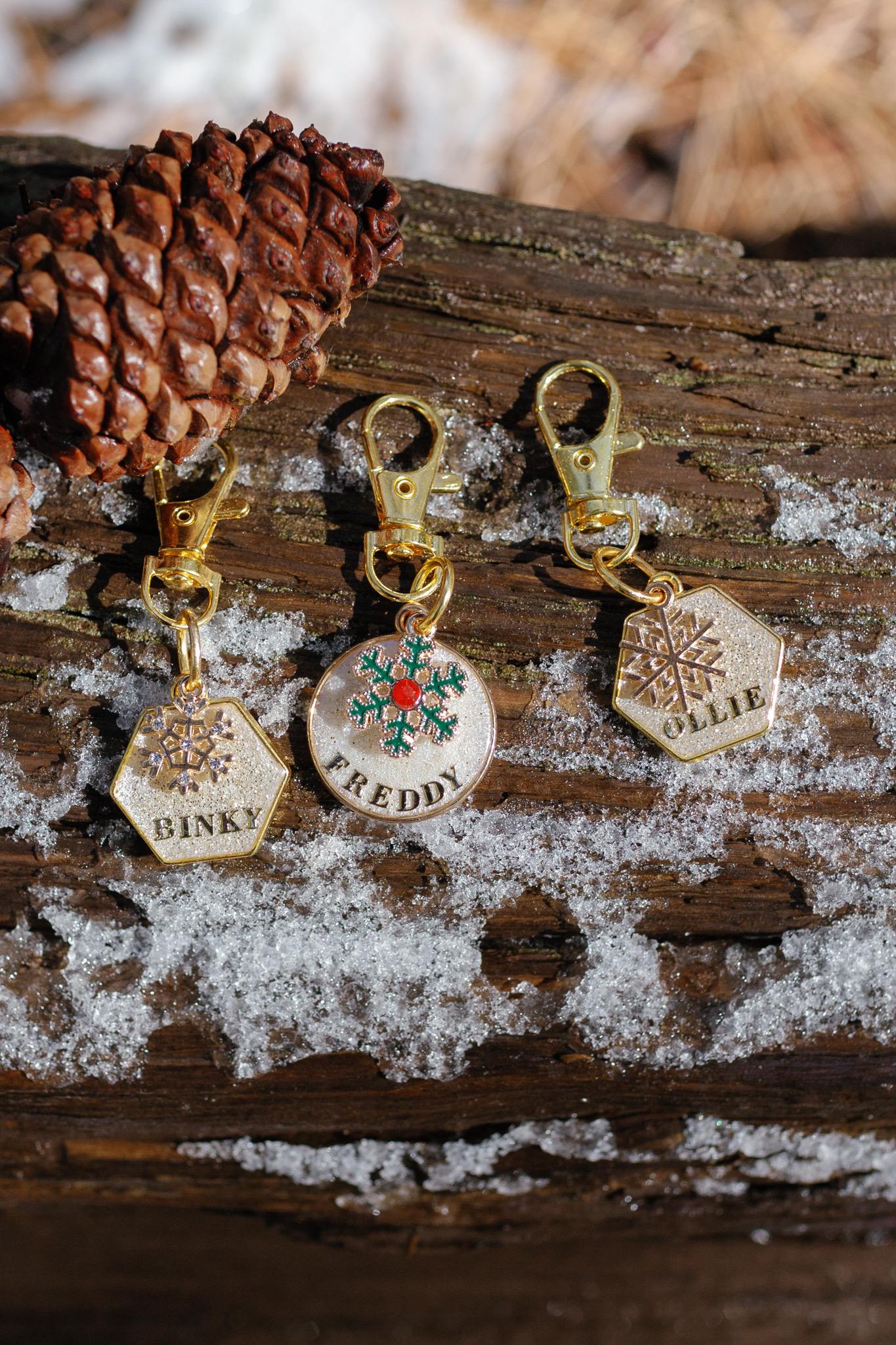 Baby Its Cold Outside- personalized pet tag