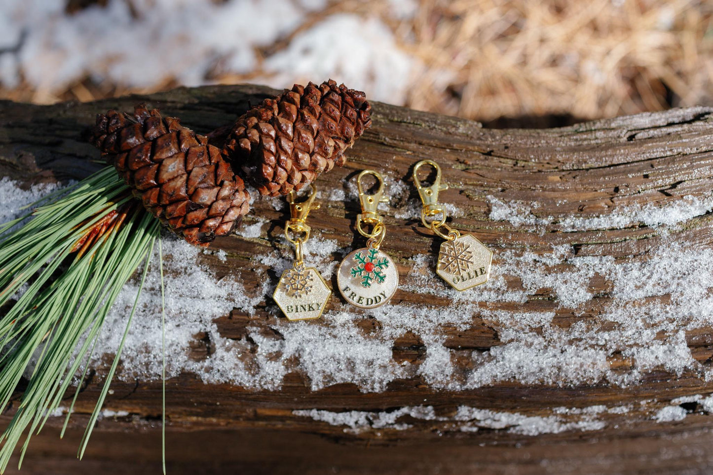 Baby Its Cold Outside- personalized pet tag