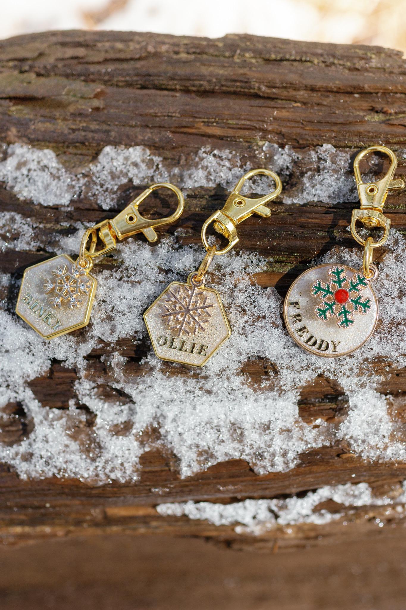 Baby Its Cold Outside- personalized pet tag