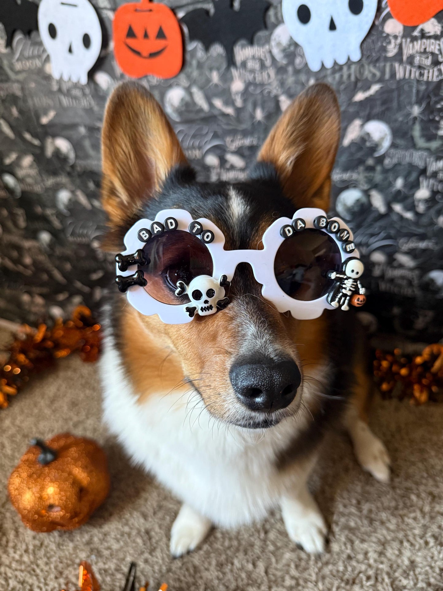 Bad To Da Bone Sunglasses