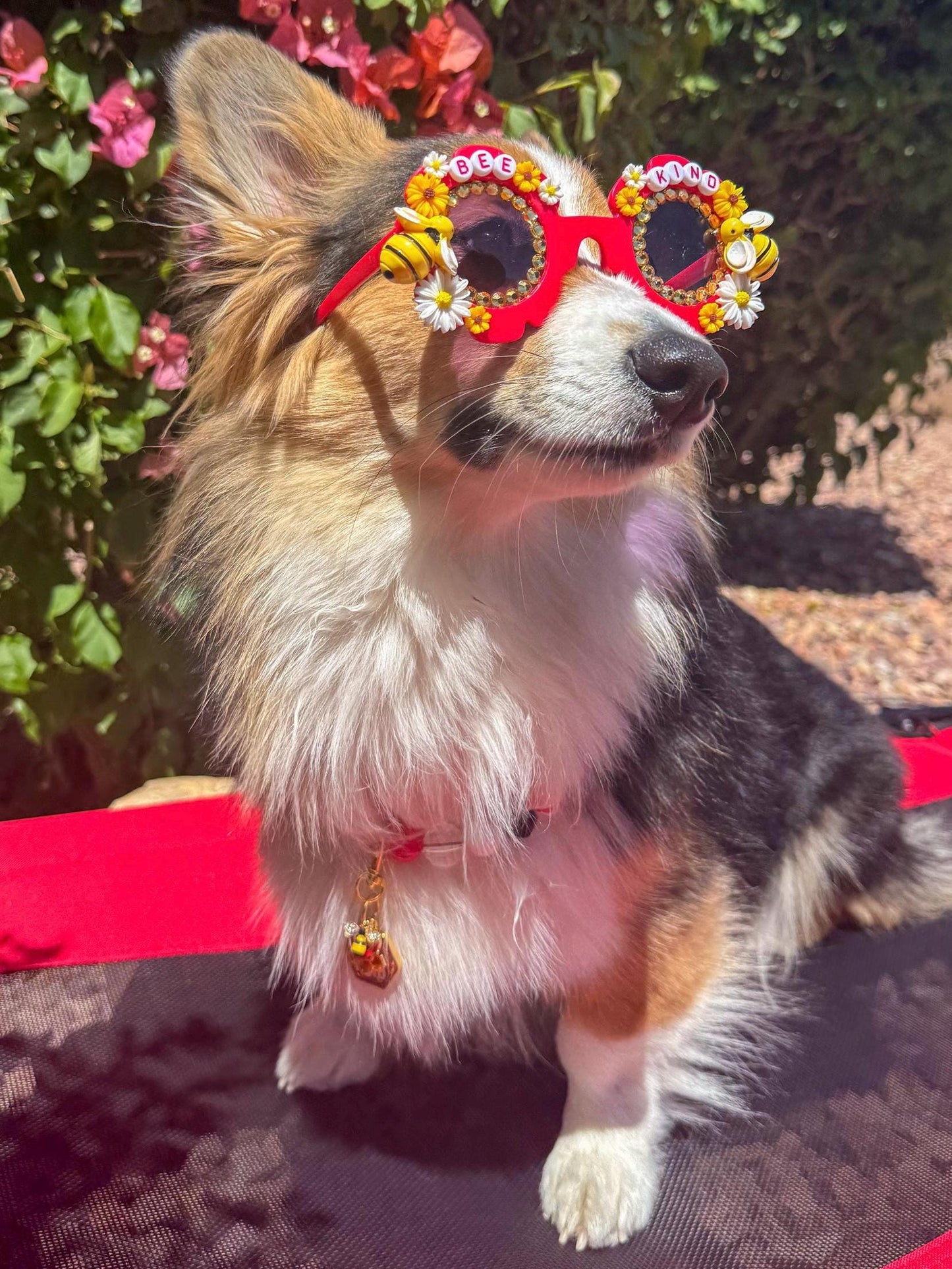Bee Kind Sunnies