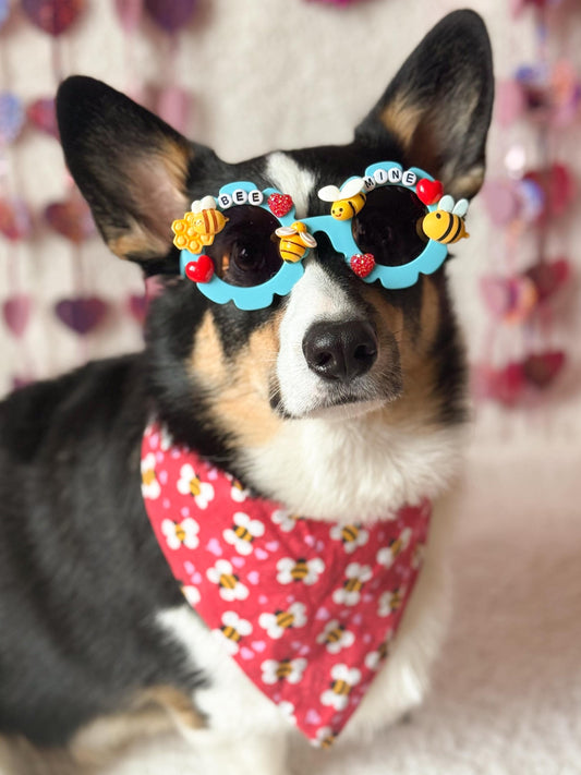 Bee Mine Valentine’s Day Pet Sunglasses