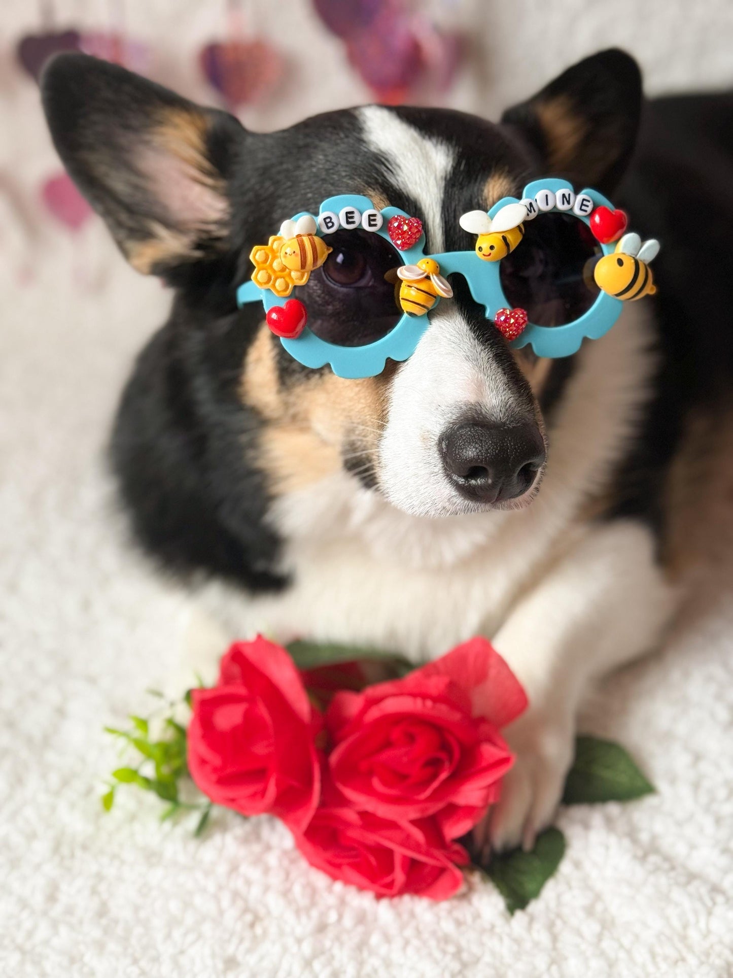 Bee Mine Valentine’s Day Pet Sunglasses