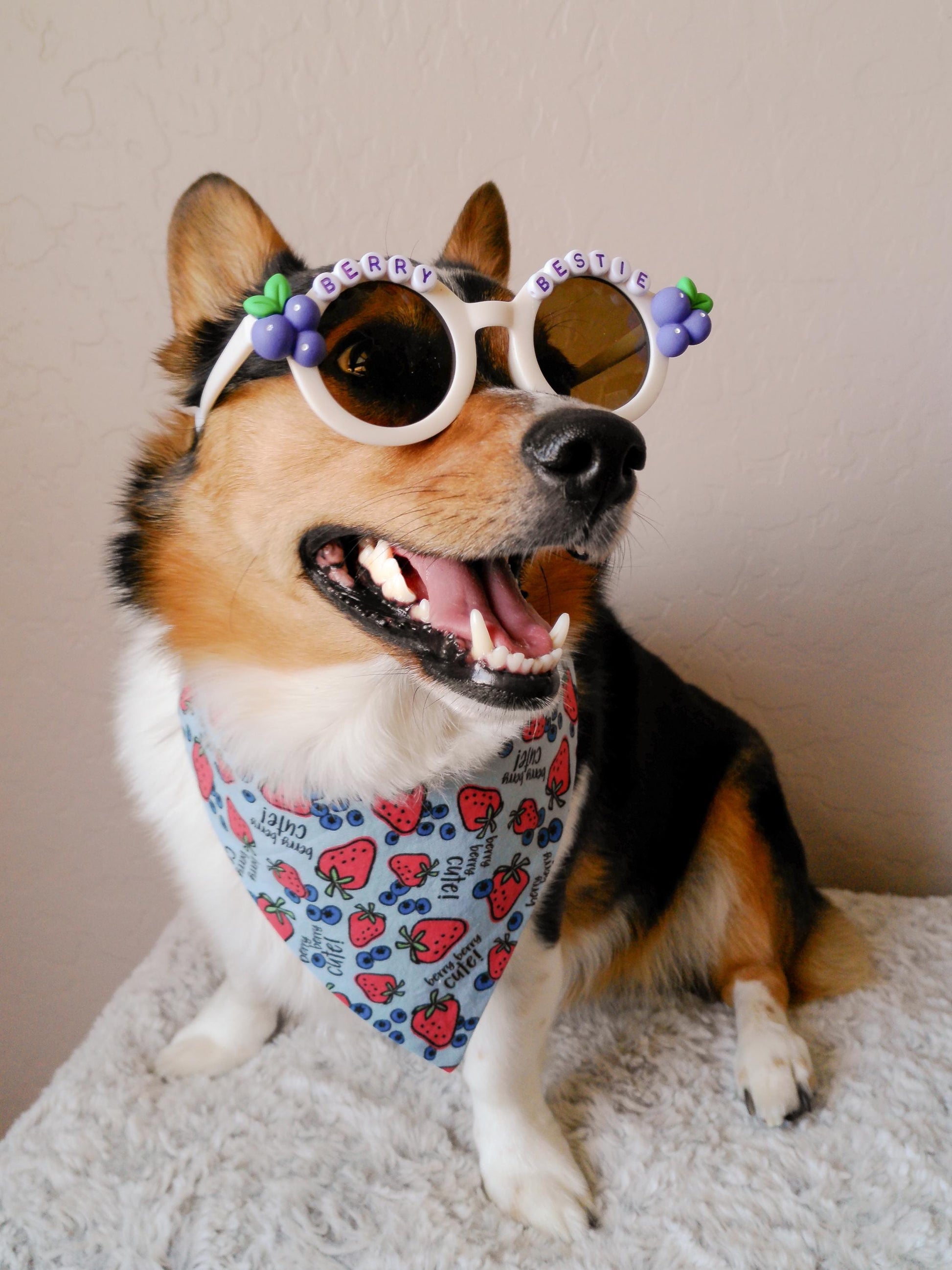 Berry Bestie Pup Shades