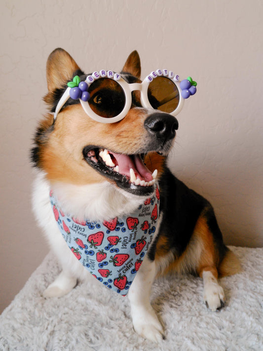 Berry Bestie Pup Shades
