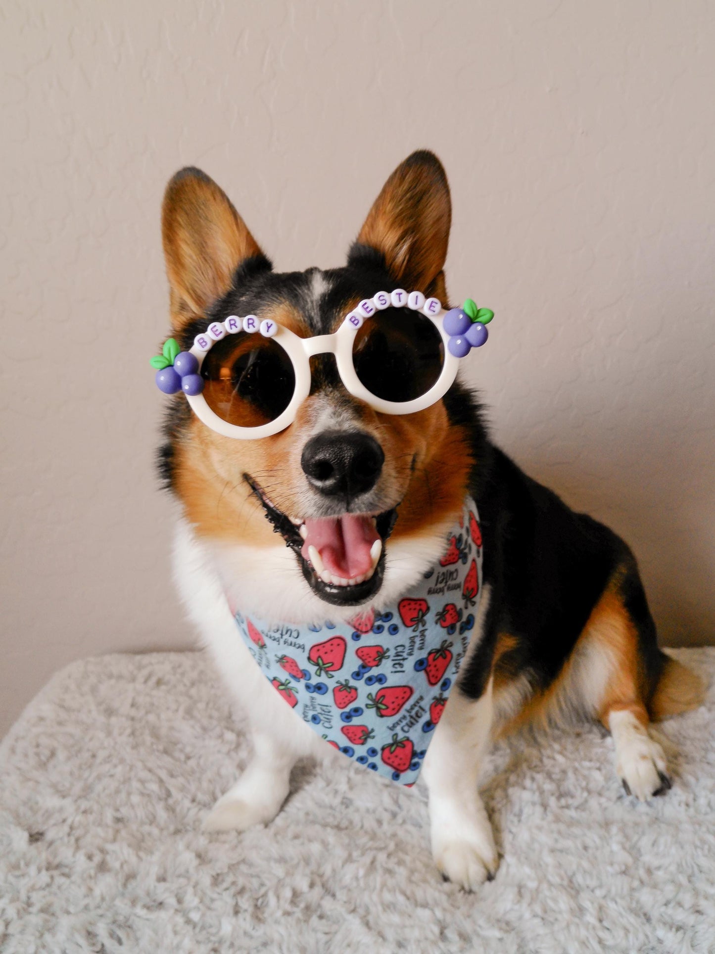 Berry Bestie Pup Shades