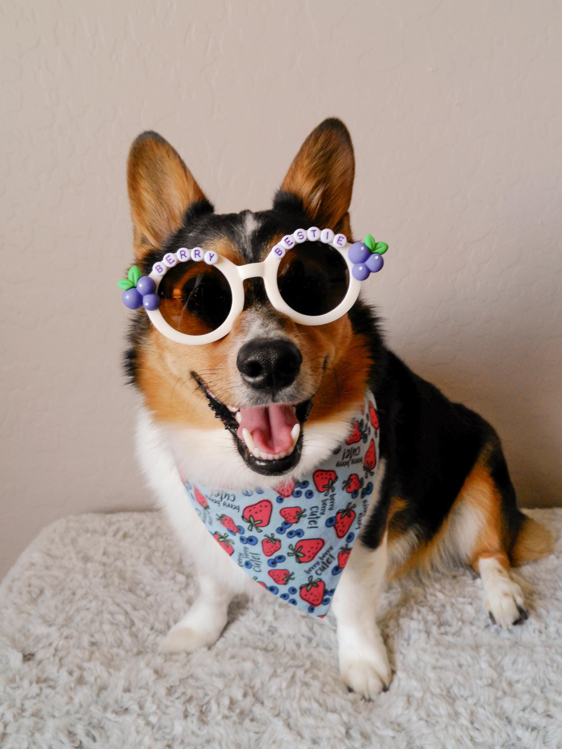 Berry Bestie Pup Shades