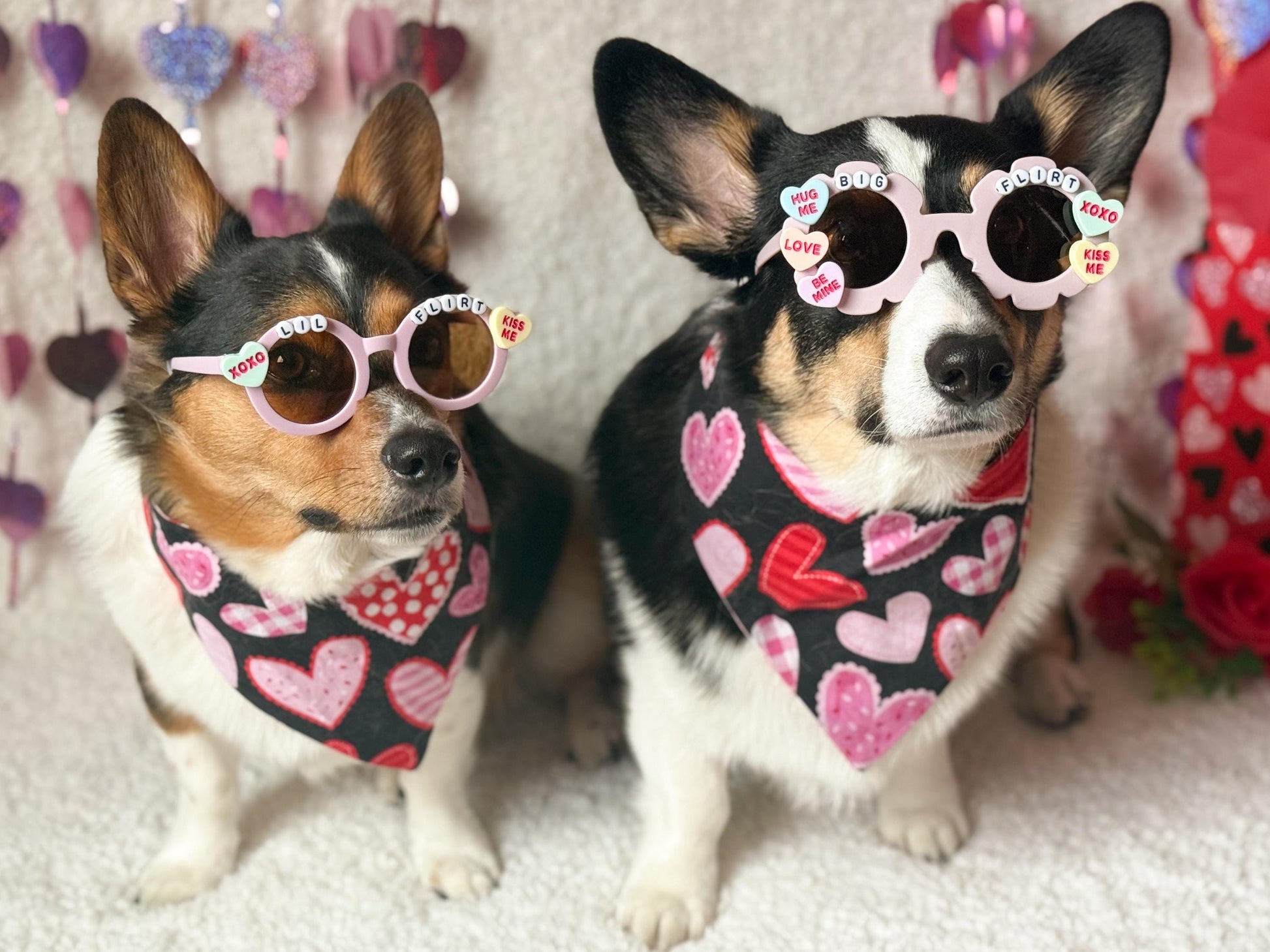 Big Flirt and Lil Flirt Valentine’s Day Pet Sunglasses
