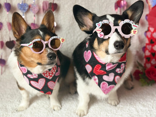 Big Flirt and Lil Flirt Valentine’s Day Pet Sunglasses