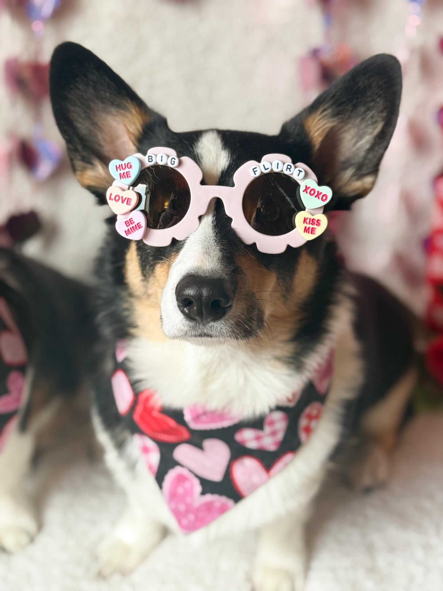 Big Flirt and Lil Flirt Valentine’s Day Pet Sunglasses