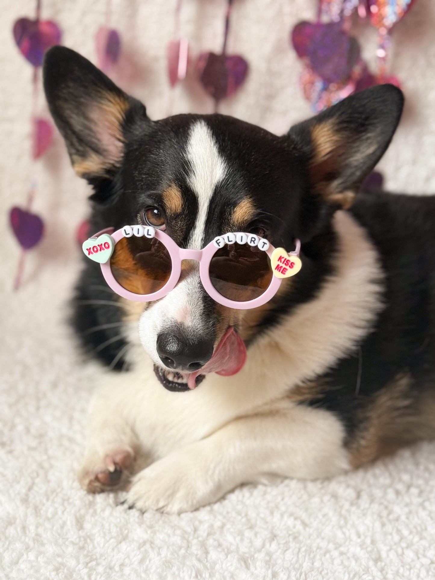 Big Flirt and Lil Flirt Valentine’s Day Pet Sunglasses