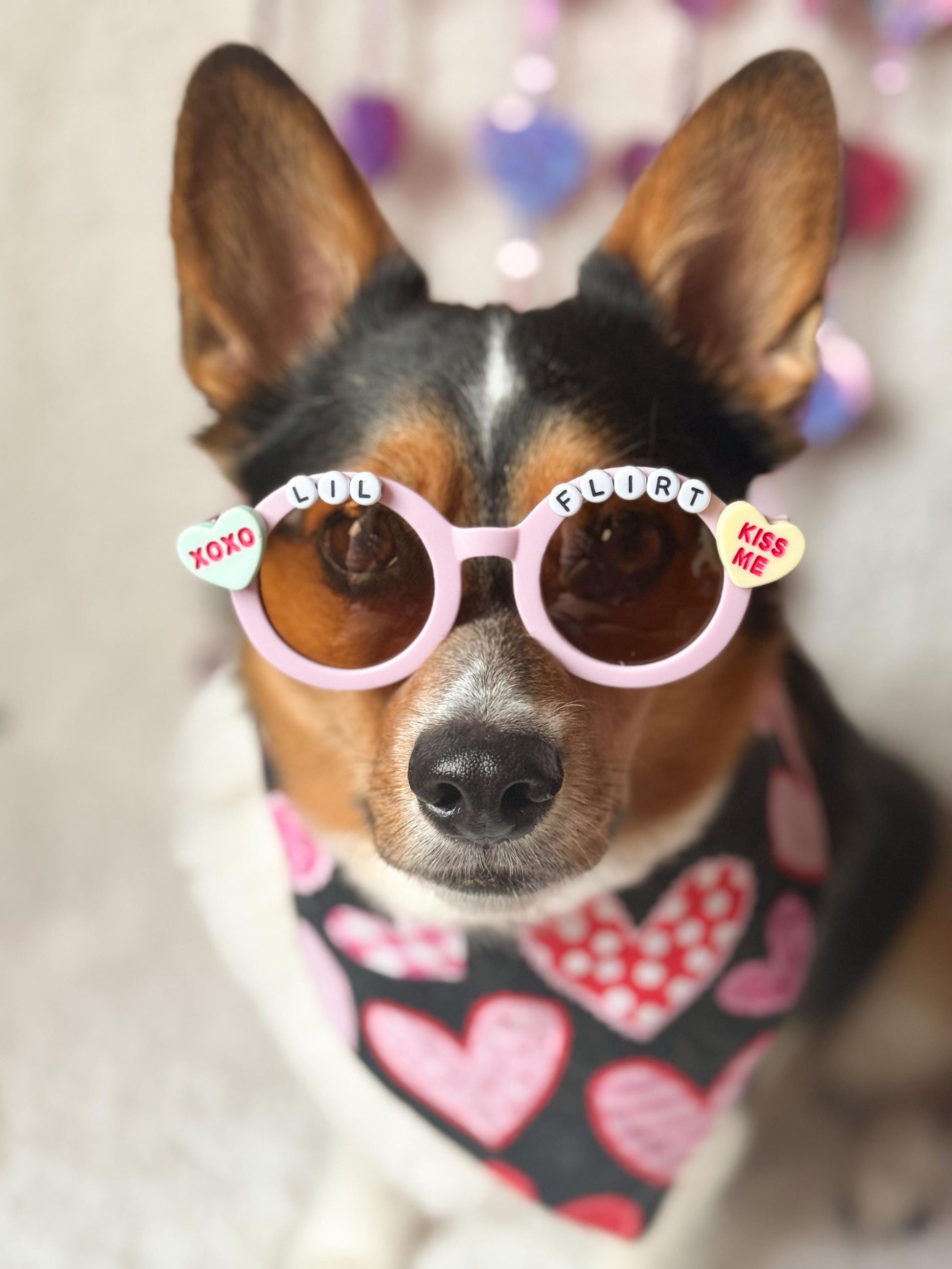 Big Flirt and Lil Flirt Valentine’s Day Pet Sunglasses