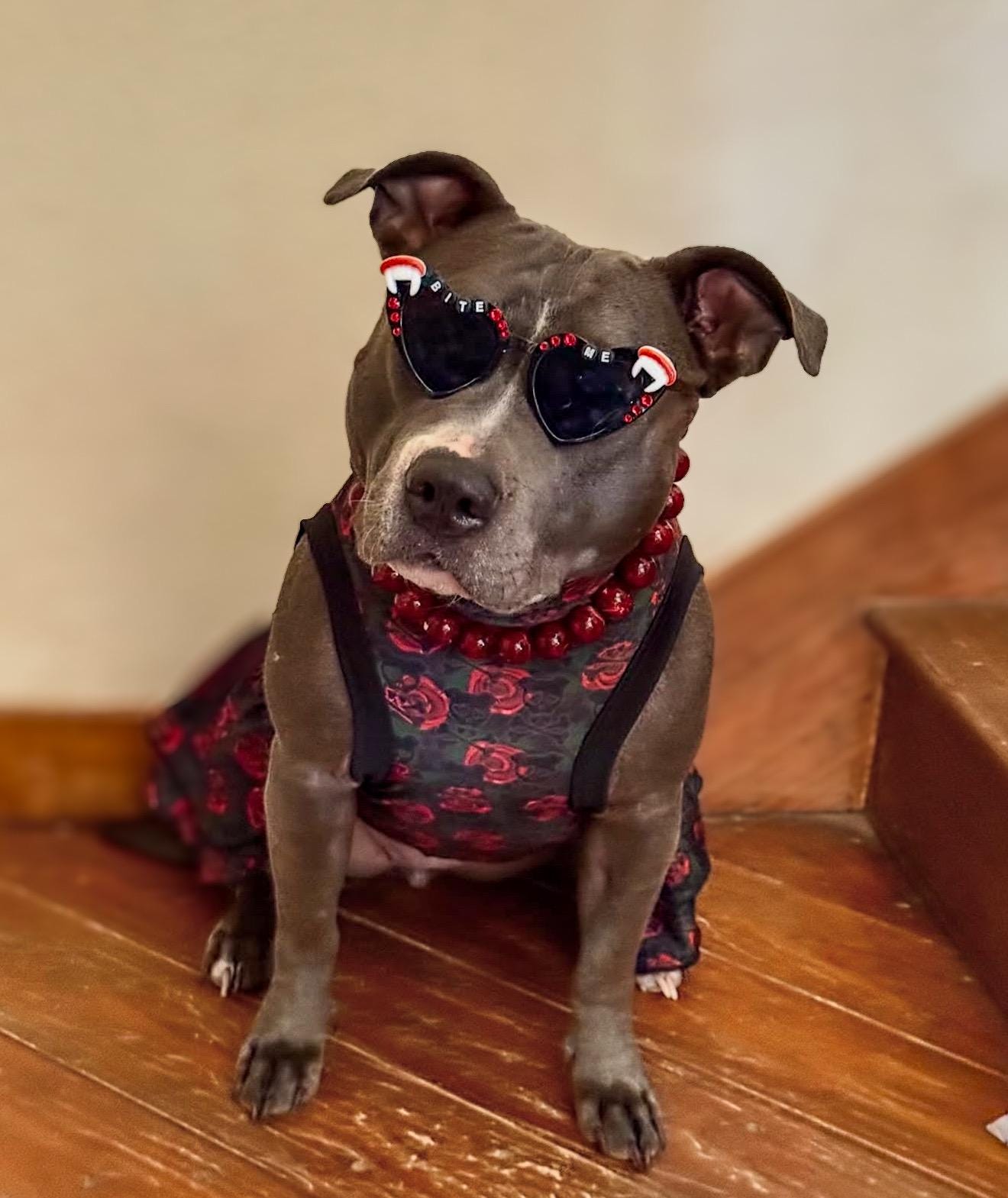 Bite Me Sunglasses