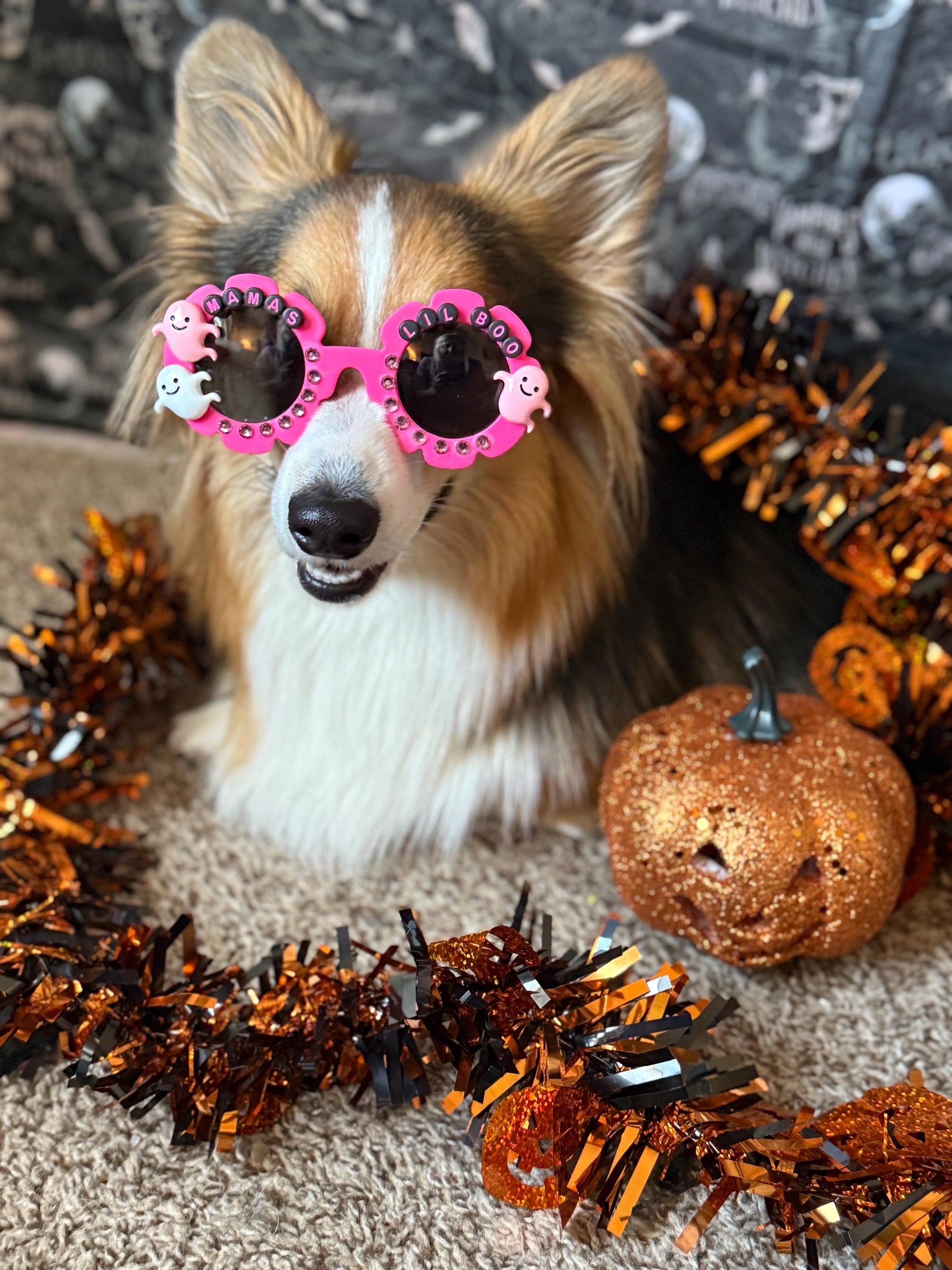 Bone A Fide Cutie Sunglasses