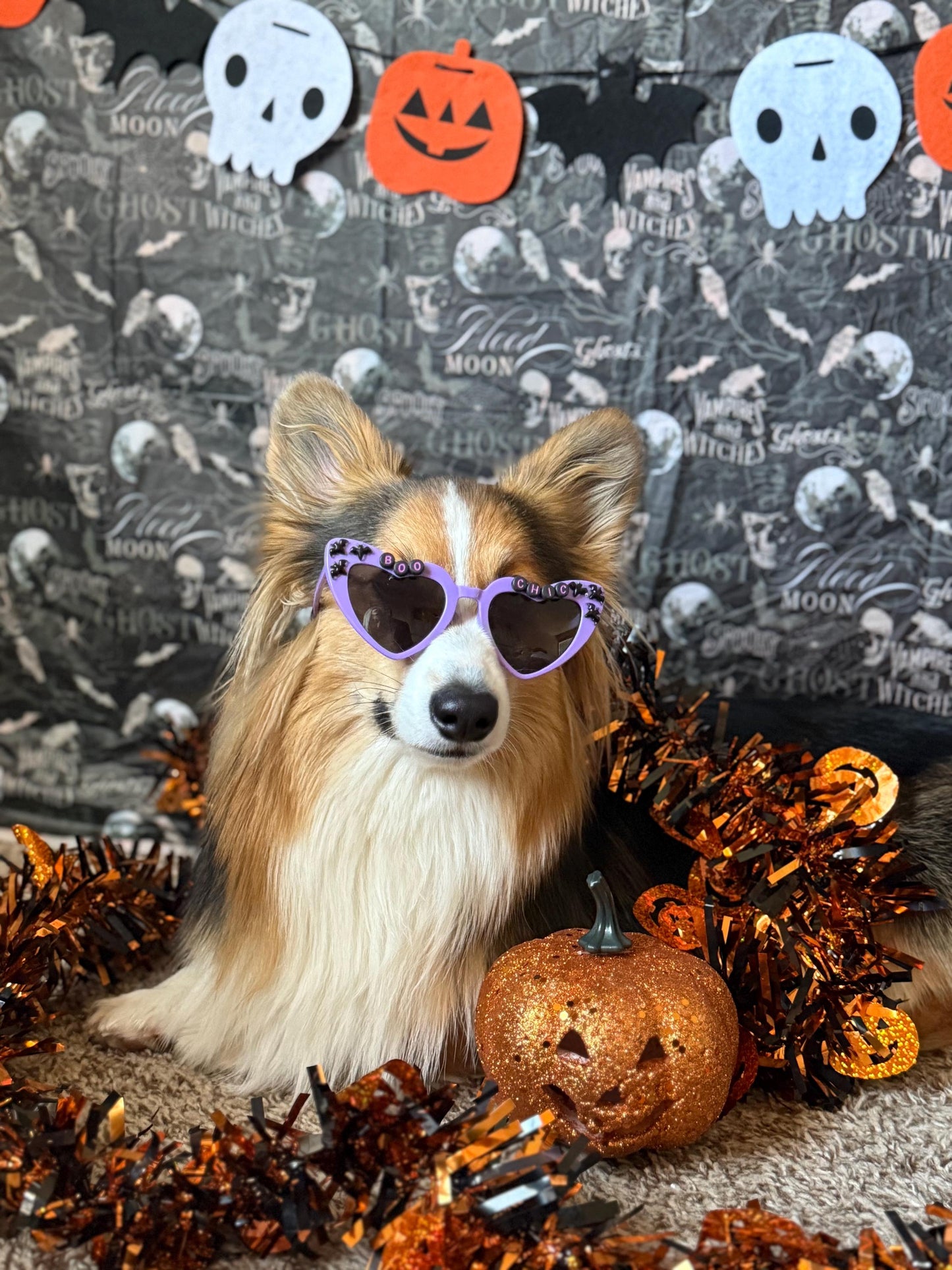 Boo Chic Sunglasses