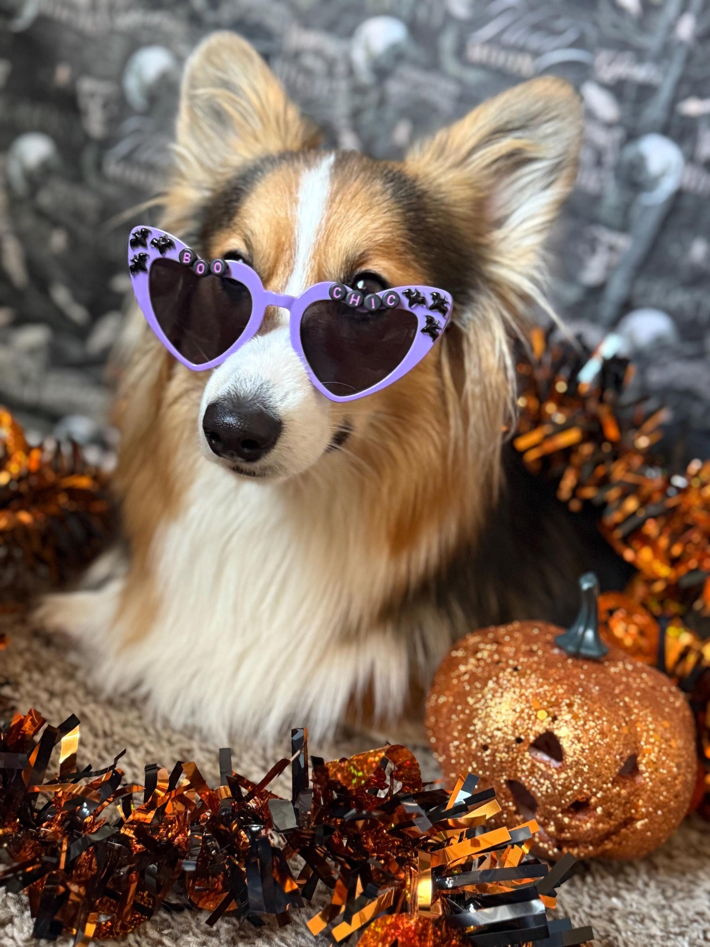 Boo Chic Sunglasses