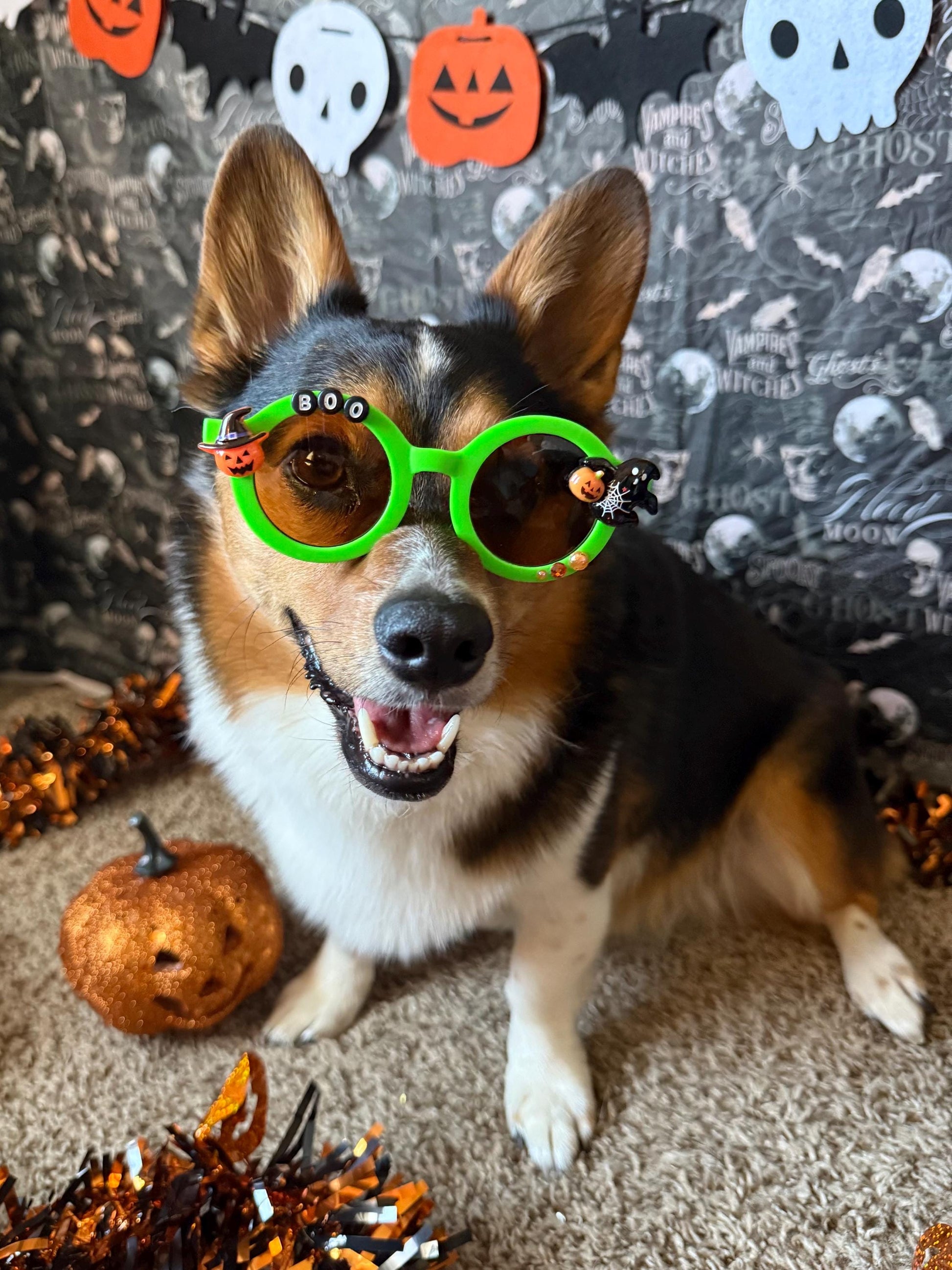 Boo! Sunglasses