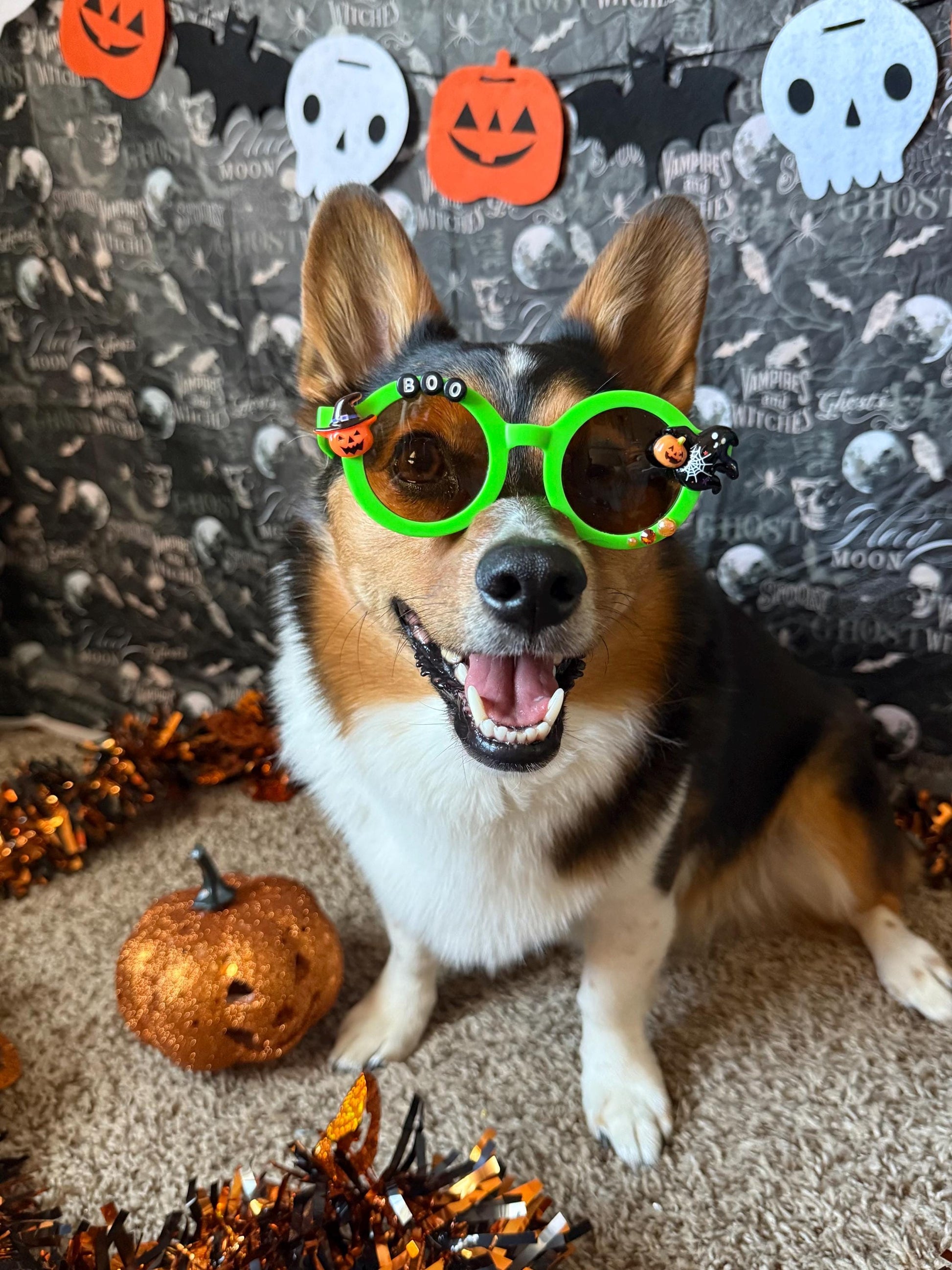 Boo! Sunglasses