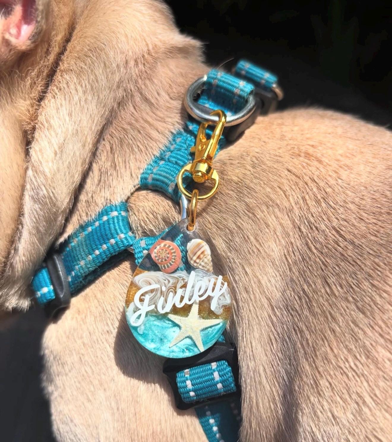 By the Sea pet tag
