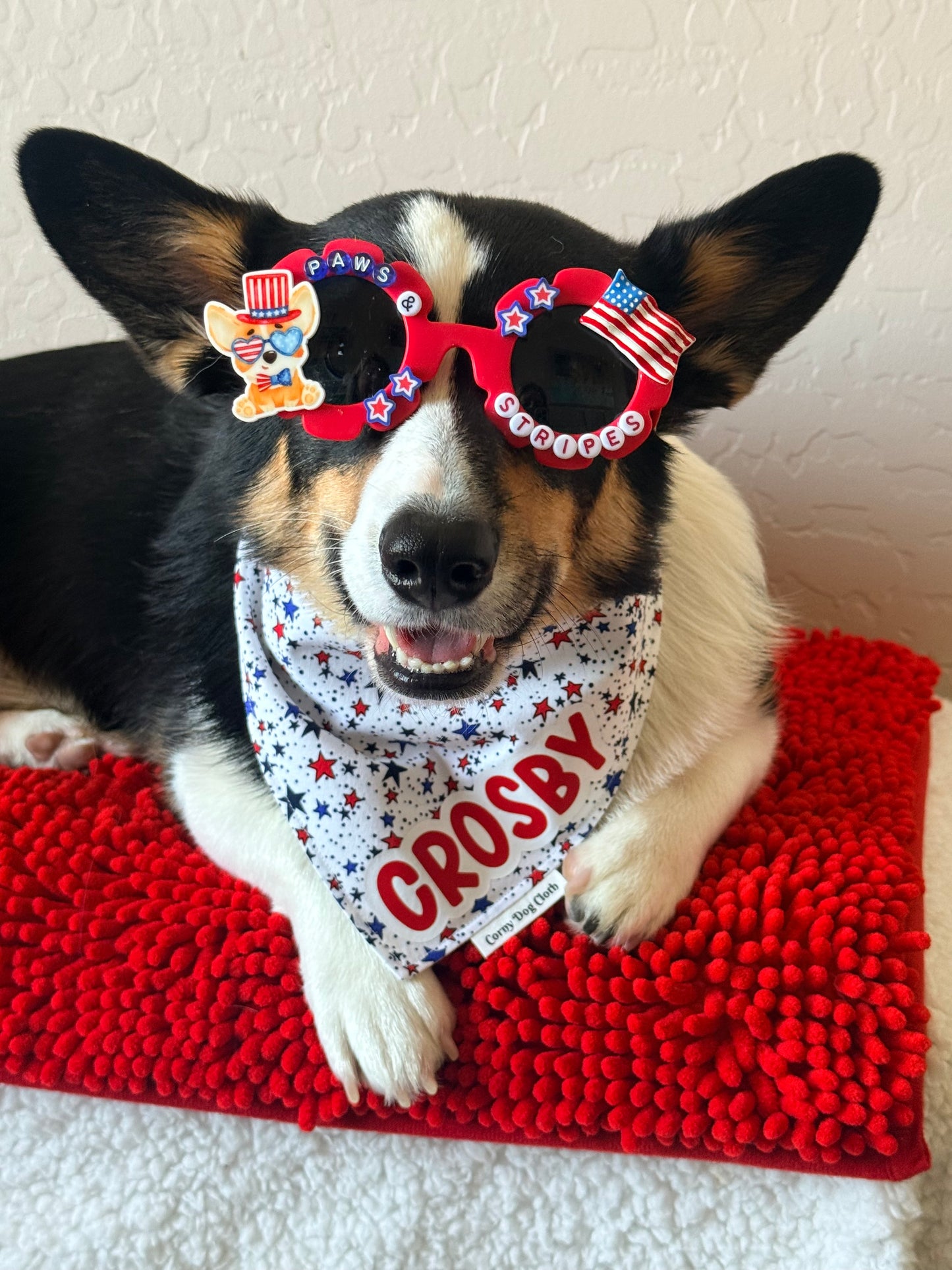 Paws & Stripes Sunglasses