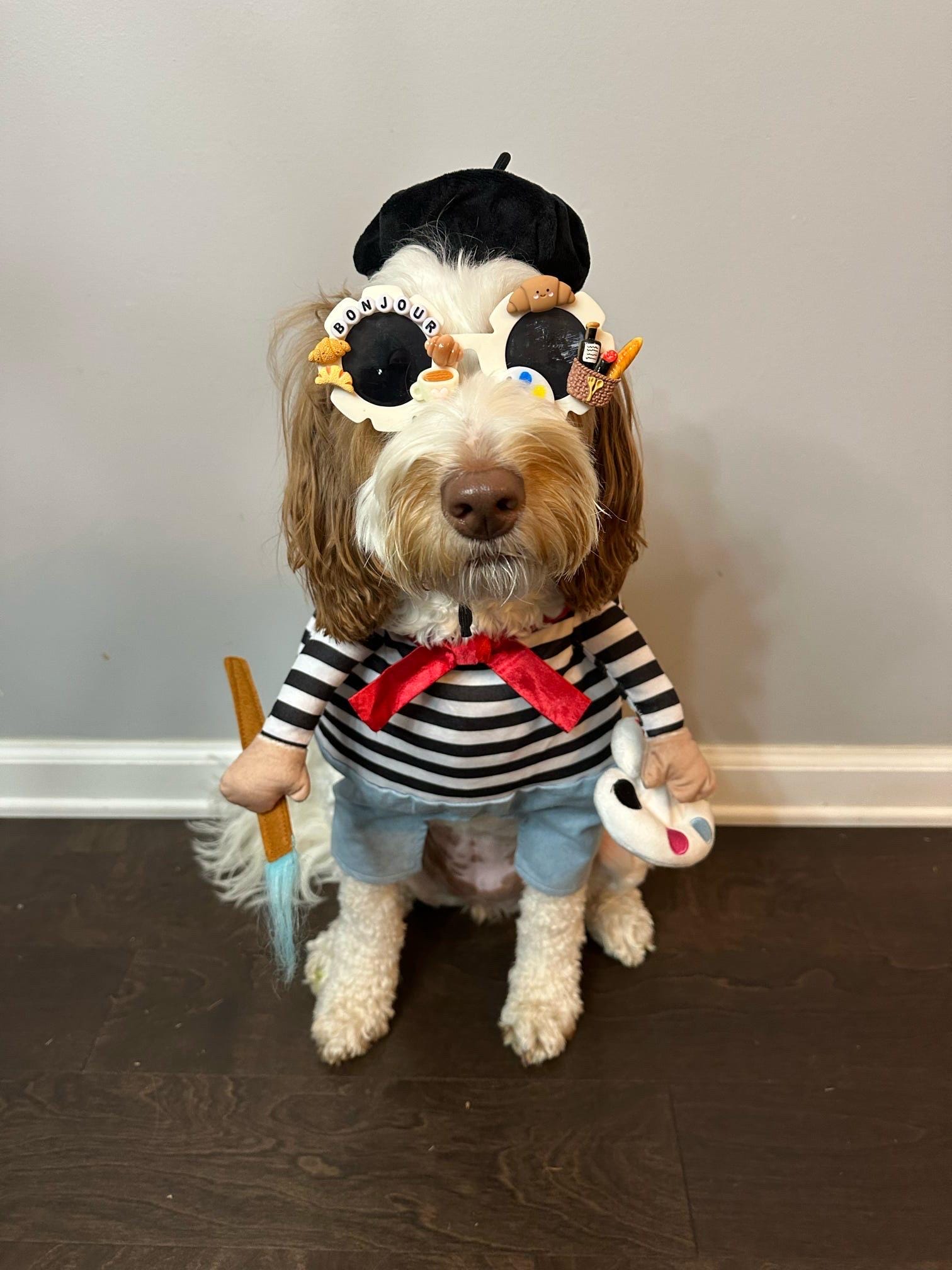CUSTOM- DESIGN/THEME Dog Sunglasses