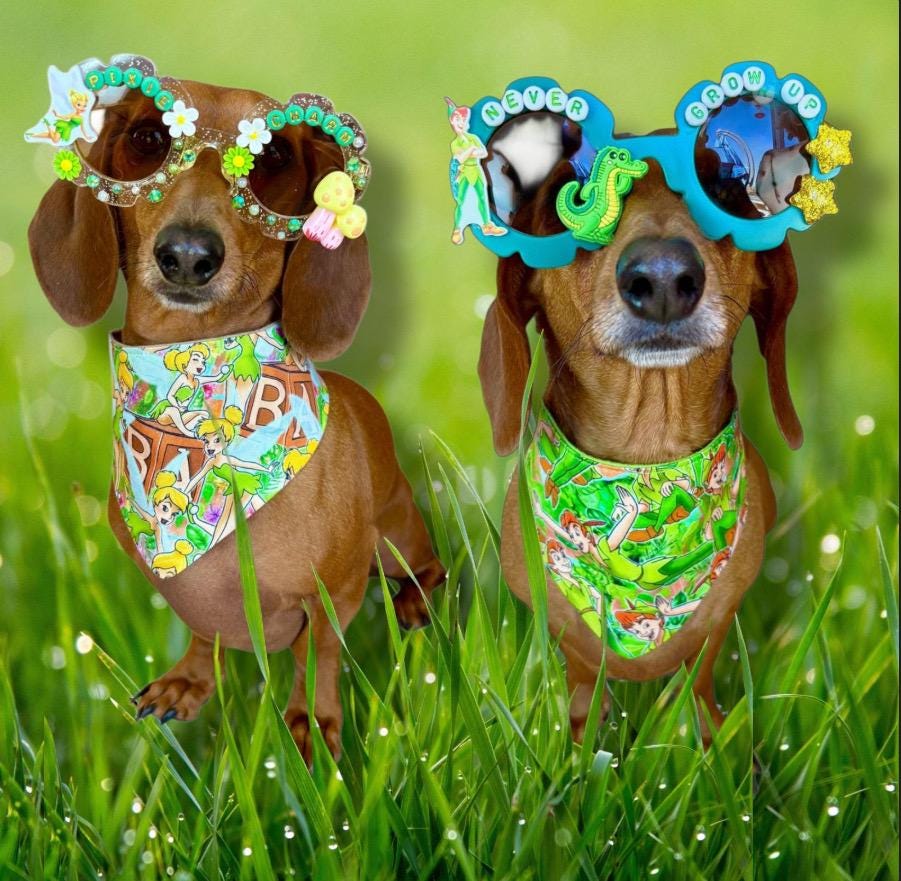 CUSTOM- DESIGN/THEME Dog Sunglasses